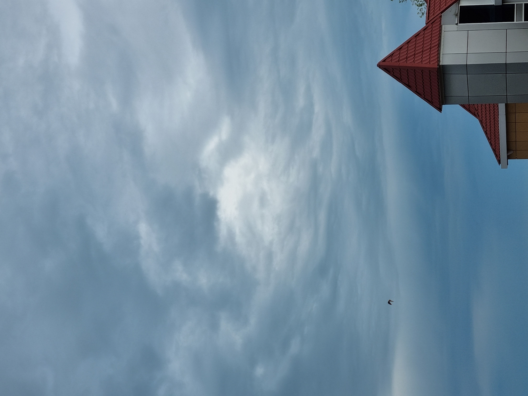 The image is a low-angle shot of the sky above Bogushevka, Russia. A building with a red tiled roof and gray and tan siding is visible in the upper right corner. The sky is cloudy, with a patch of brighter white clouds in the center. A small dark bird is flying in the lower right quadrant of the sky.