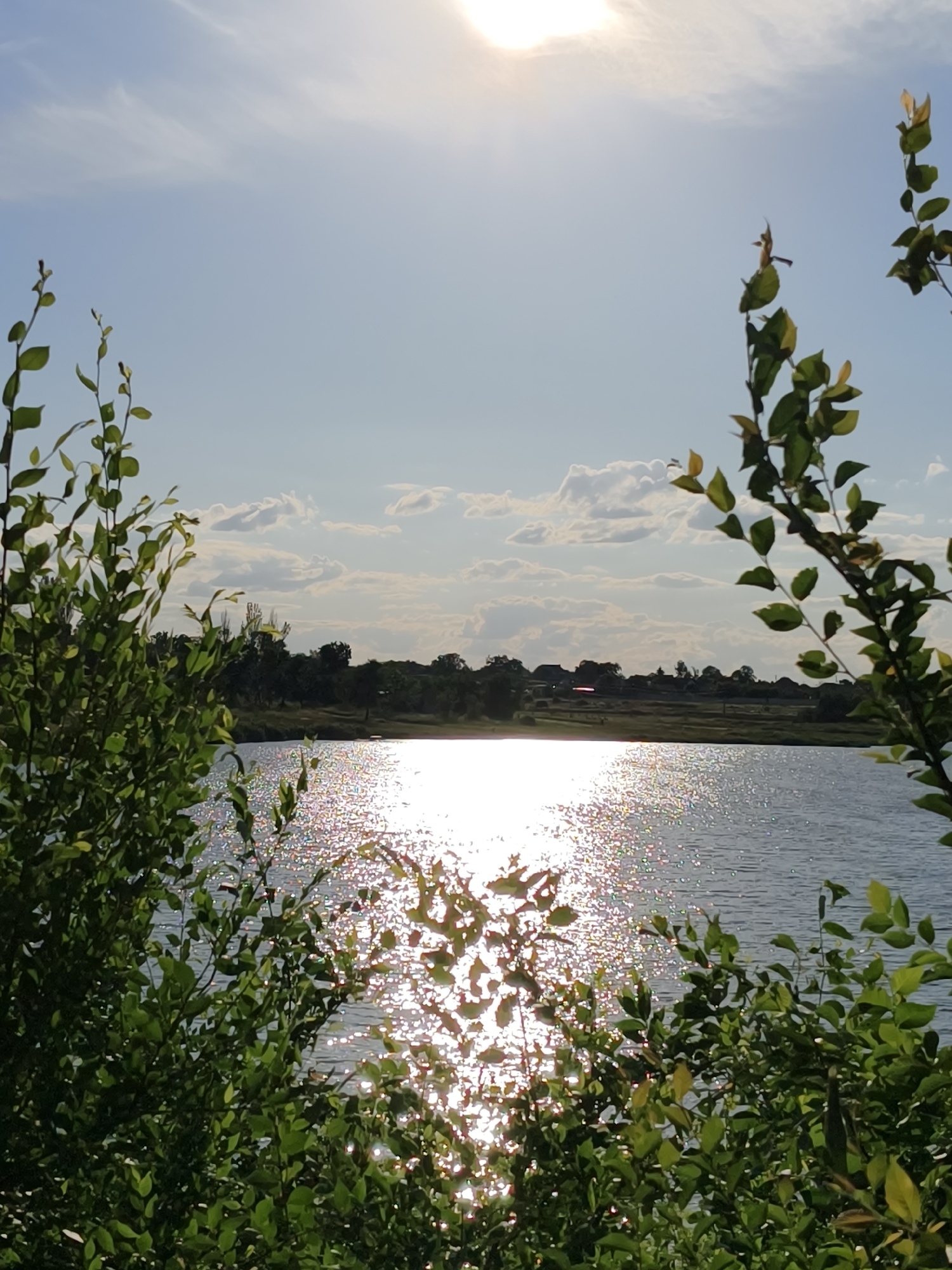 This is a photograph taken in the city of Shyroka Dacha, Ukraine, depicting a sunlit lake scene. The foreground is dominated by lush green foliage on both the left and right sides, framing a view of a calm lake. The sun, high in the sky, creates a bright reflection on the water's surface, causing it to shimmer with an array of sparkling highlights. In the background, a treeline separates the lake from a distant rural landscape, where houses and structures are visible. The sky above is a clear blue, dotted with scattered, soft white clouds. The overall impression is one of a peaceful, natural environment under a bright, sunny sky.