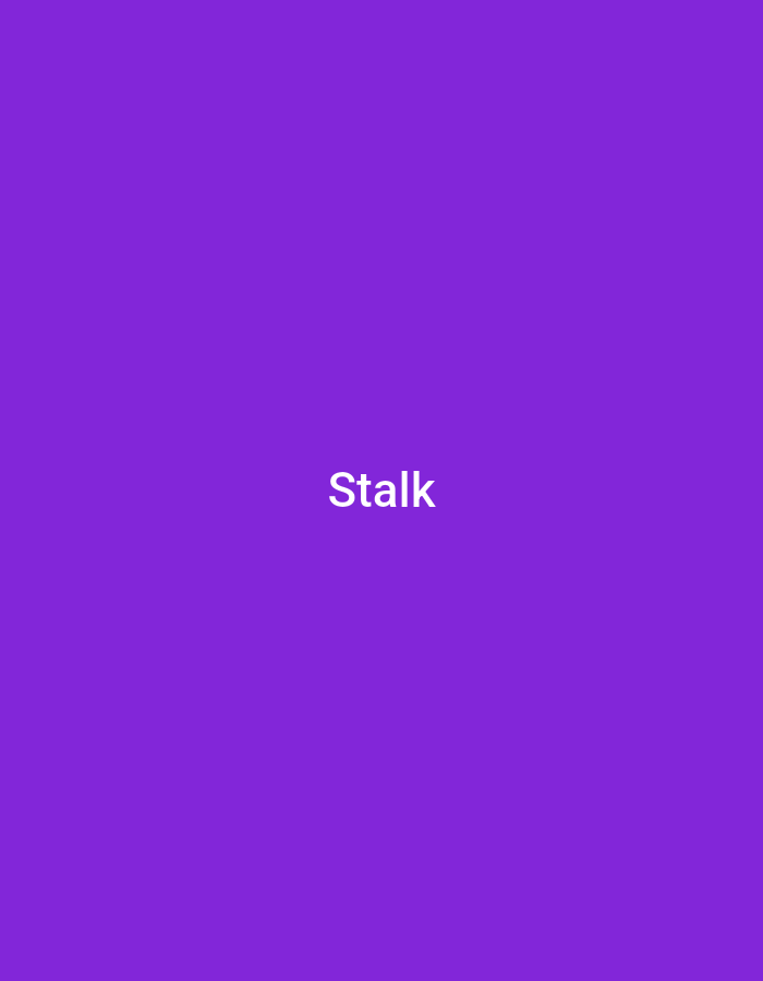 The image is a plain purple background with the word "Stalk" written in white text in the center. There are no people, objects, or environmental details visible in the image. The location of Wuro Ngangandi, Nigeria is not depicted in this image.