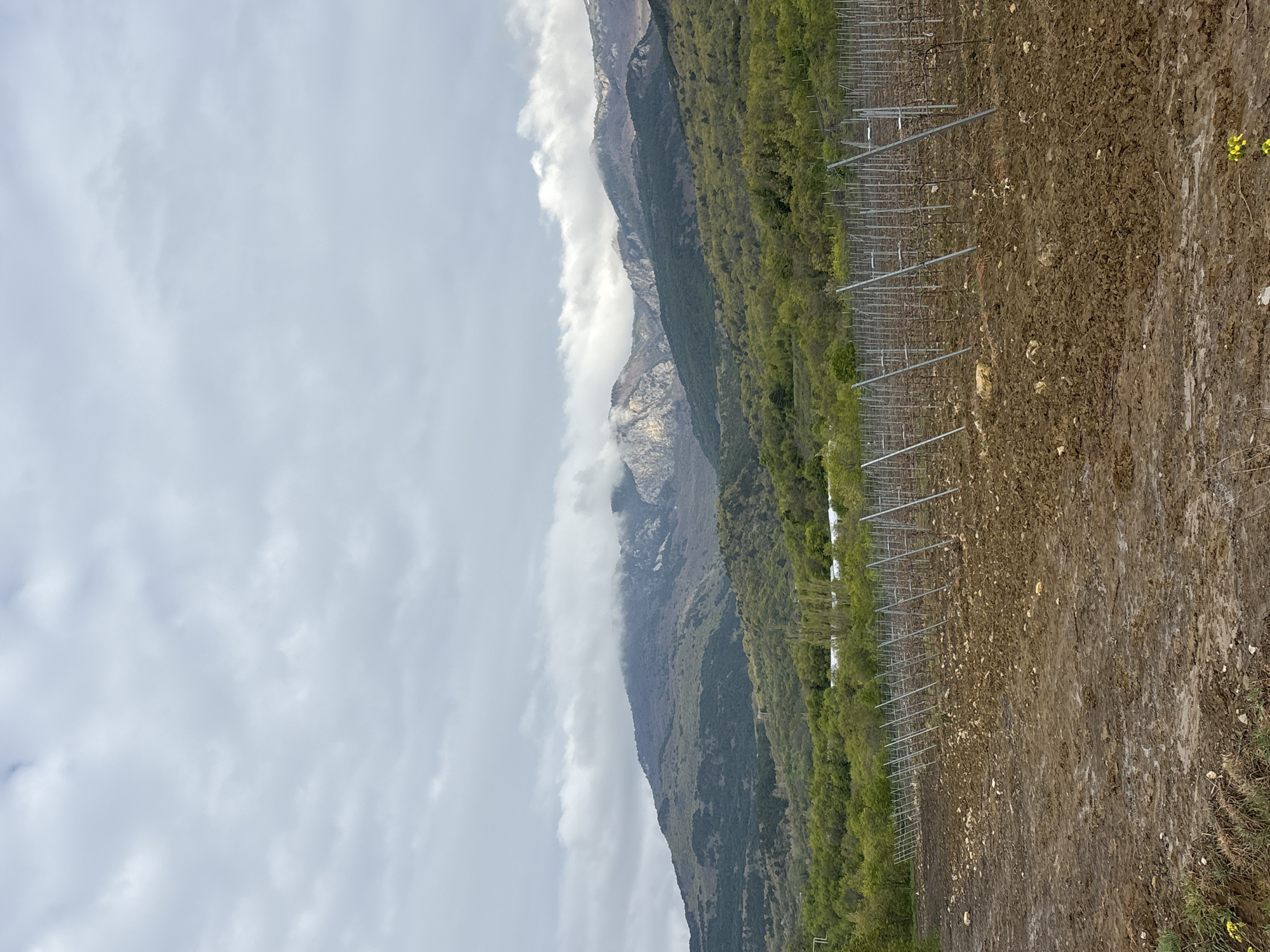 The image depicts a landscape with a focus on an agricultural area. In the foreground, a recently tilled field is visible, characterized by dark brown soil with patches of lighter colored stones and some sparse vegetation. Metal posts and wires, likely part of a trellis system for grapevines or other climbing plants, stretch along the field. Beyond the field, a dense line of trees with green foliage runs parallel to the edge. In the background, a tall, rugged mountain range rises, partially obscured by low-hanging clouds. The sky above is overcast with grey and white clouds. The overall scene suggests a rural or agricultural setting in a mountainous region. The location details (city of Pushkino, Ukraine) do not appear to directly correlate with the visual elements of this scene.