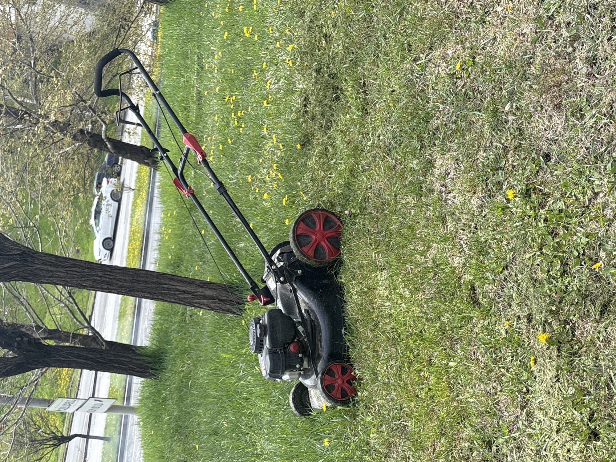 The image shows a black lawnmower with red wheels sitting on a lawn with scattered yellow flowers. The lawn is adjacent to a road with a white car partially visible in the background. Two trees are visible near the road and the lawn. The specific location in Yerevan, Armenia is not discernible from the image.