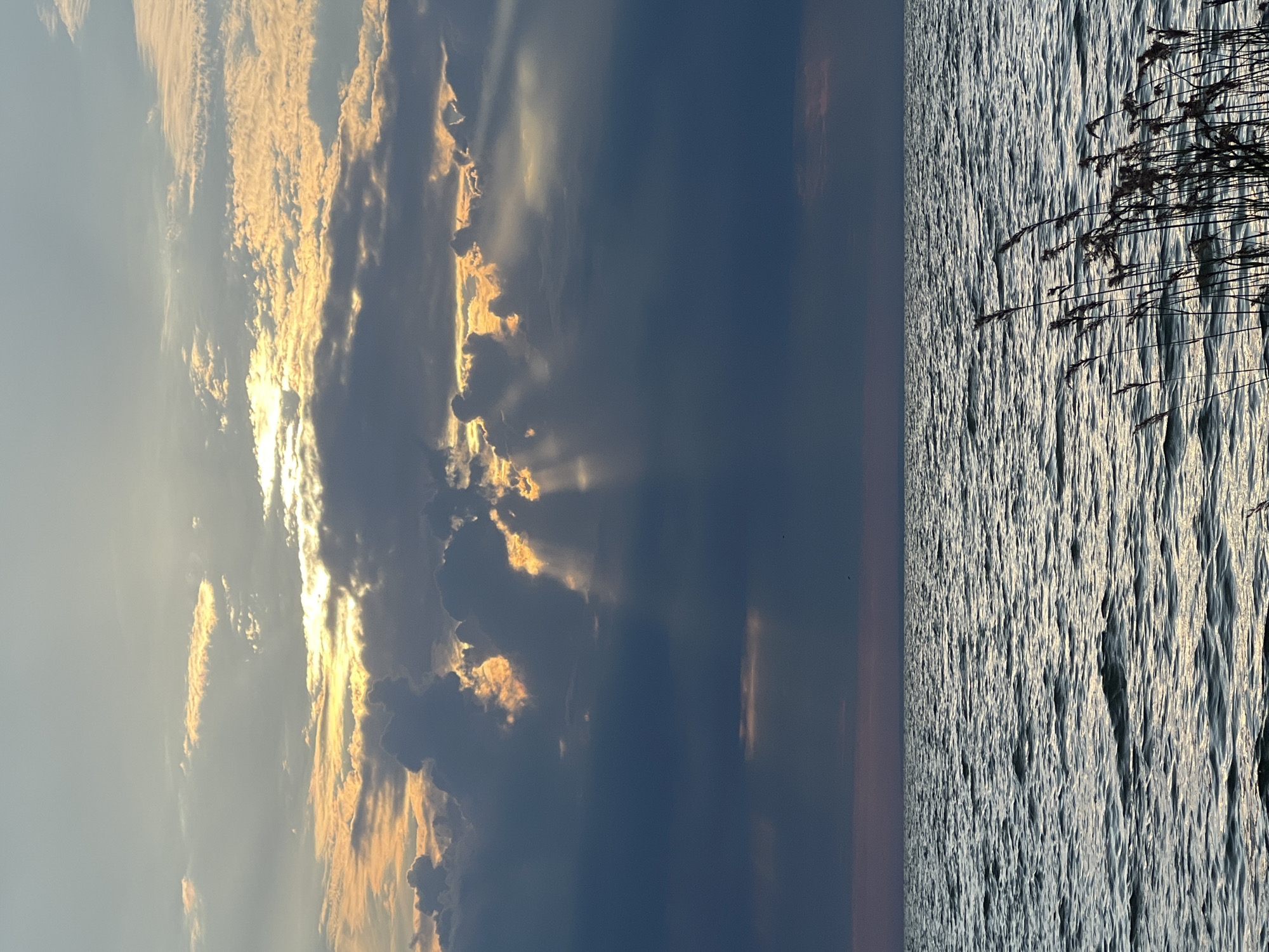 The image captures a dramatic sunset over a body of water. The sky is filled with a mix of dark, heavy clouds and thinner, lighter clouds illuminated by the setting sun. Sunbeams pierce through the clouds, creating a spotlight effect on the water below. The water is choppy, with small waves reflecting the sky's colors. In the foreground, silhouetted reeds or tall grass stand on the right side of the frame. The horizon line is low in the frame, separating the water from the sky. There are no people or specific identifiable landmarks to indicate a location within Borovoe, Russia. The scene is primarily natural, with a focus on the atmospheric conditions of the sunset and its reflection on the water.