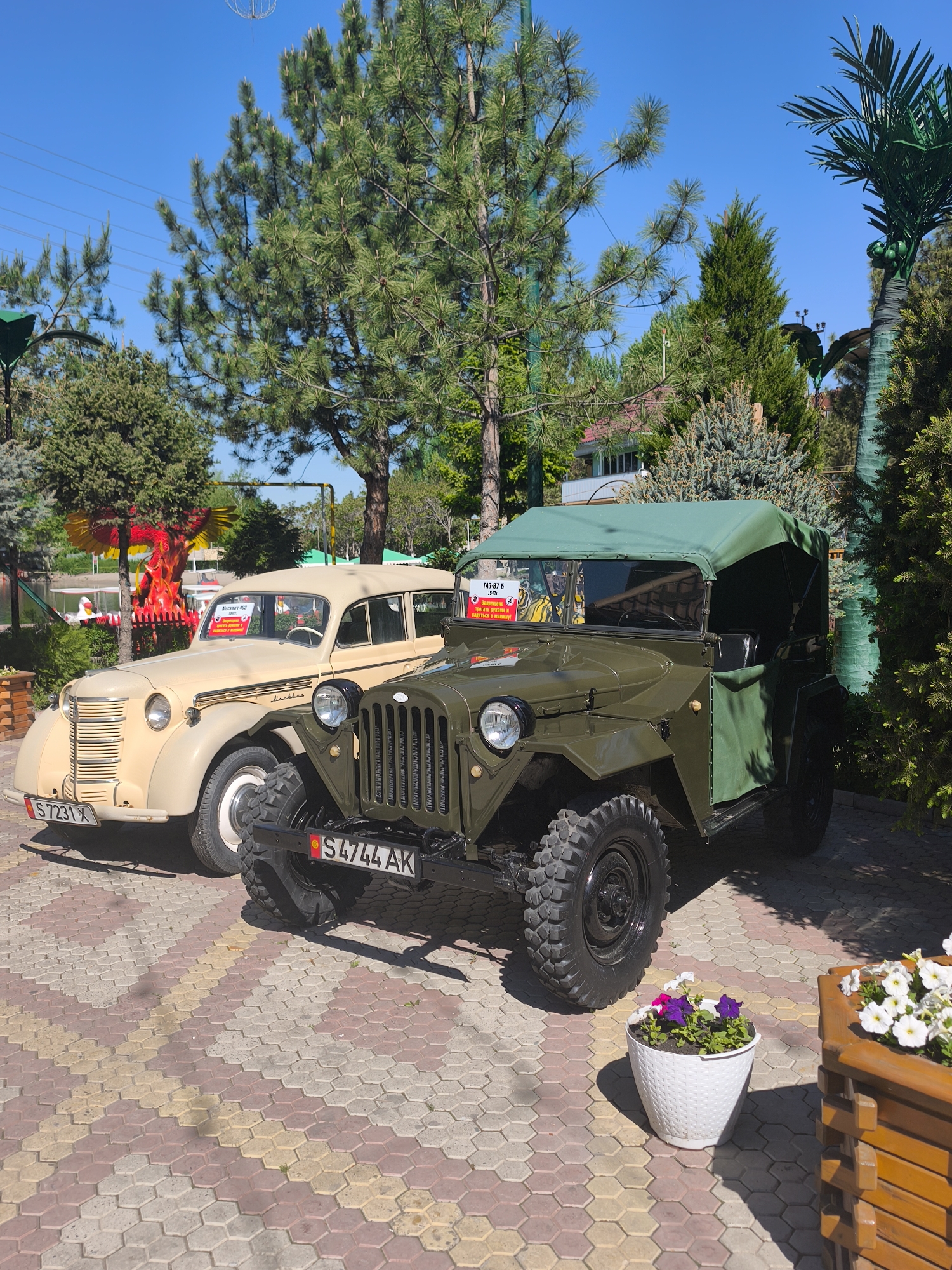 In Kenbulun, Kyrgyzstan, two vintage vehicles are displayed on a patterned brick surface. A beige Moskvich-403 with license plate S7231X stands alongside an olive-green GAZ-67 B with license plate S4744AK, its green canvas top raised. A white plastic flower pot containing purple and white petunias sits near the GAZ-67 B. Trees, including pine trees and an artificial palm tree, form a backdrop, with a building partially visible. A sign in Russian is affixed to the front of the GAZ-67 B.