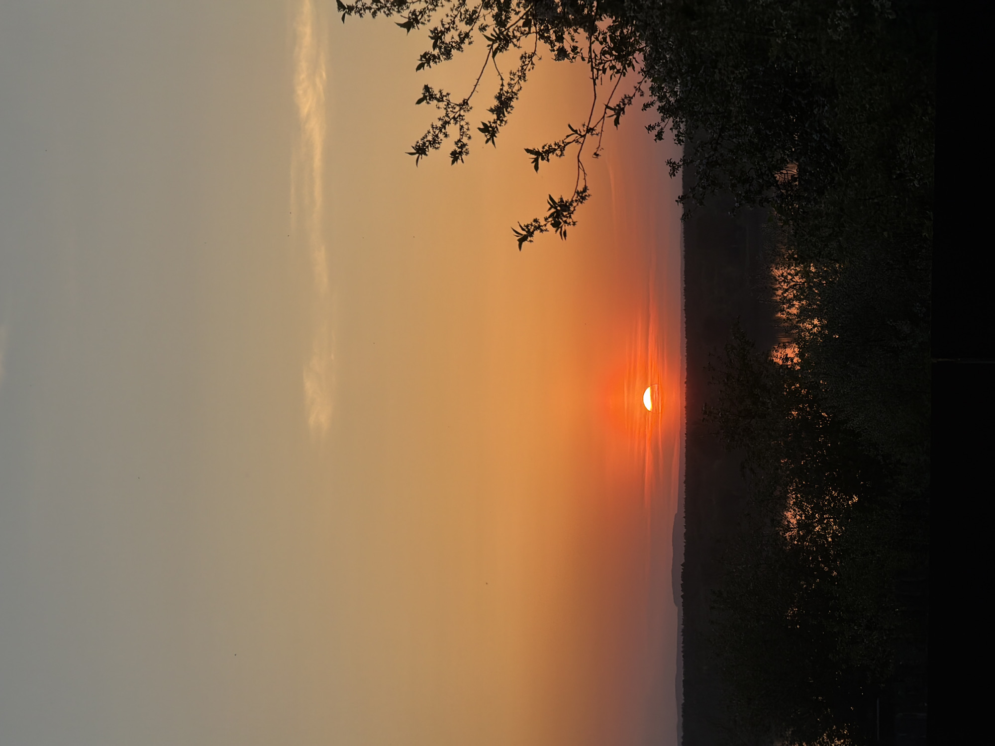 The image depicts a sunset scene in what is likely Chaikovsky, Russia. The sun is partially obscured by the horizon line, creating a bright orange glow on the lower right side of the image. The sky transitions from a lighter grey on the left to a vivid orange near the sun. A dark, silhouetted treeline runs along the horizon, bisecting the image horizontally. In the upper right corner, branches and leaves from a tree frame the scene, also in silhouette. Reflections of the sunset can be seen in the water. The scene is serene and picturesque, characteristic of a sunset over a natural landscape.