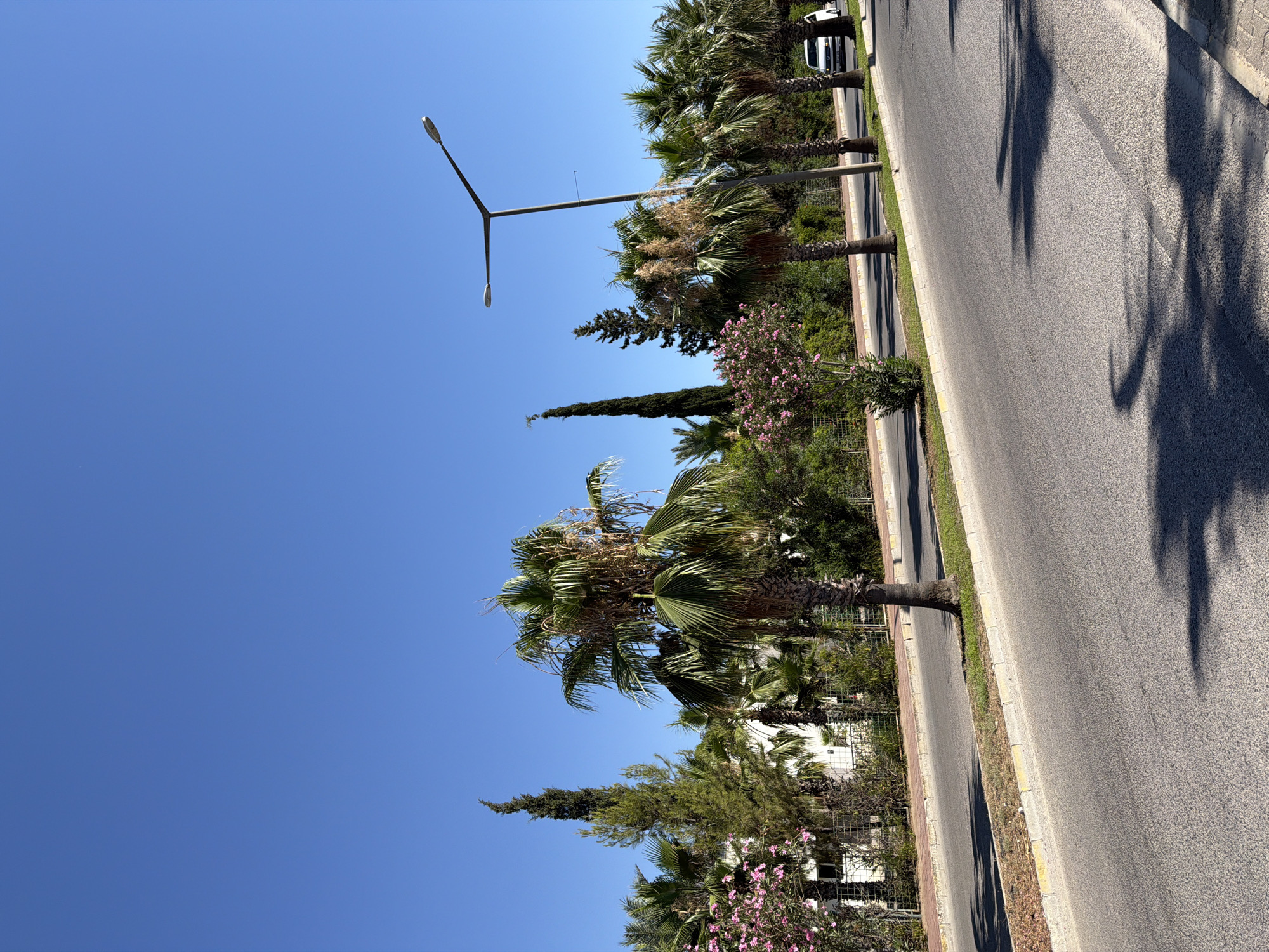 The image depicts a street scene in Kemer, Turkey, under a clear blue sky. A paved road occupies the foreground, with a curb and a strip of grass separating it from a sidewalk and a densely planted area of palm trees, cypresses, and flowering bushes. A modern street lamp with two lights stands tall on the right side of the image. In the background, a white van is parked on the right side of the road, and behind the trees and vegetation, a building with a white facade is partially visible. The overall impression is one of a sunny, Mediterranean urban environment.