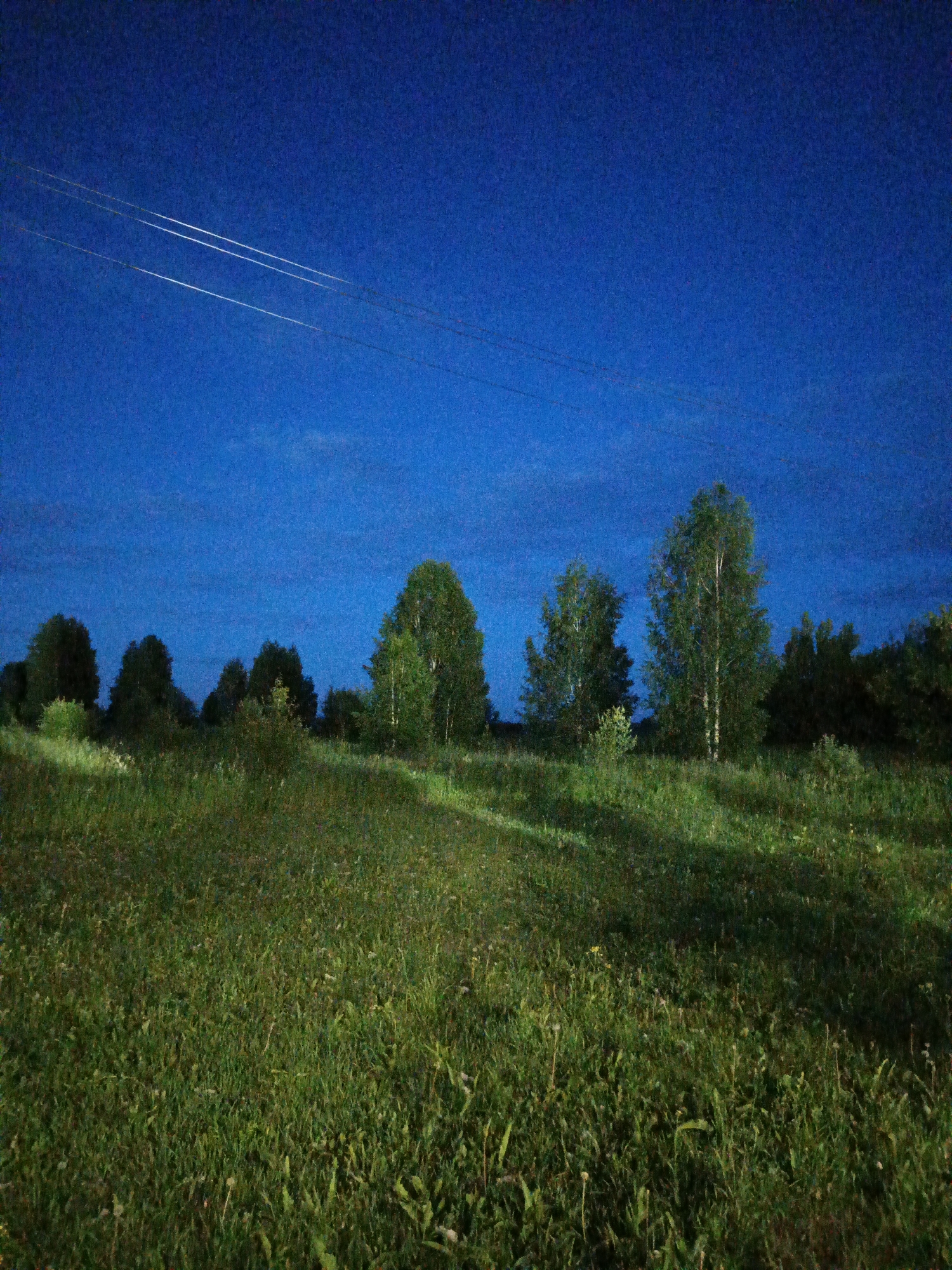 The image depicts a natural scene in Kalachevo, Russia. The foreground is dominated by a field of tall, green grass, suggesting a rural or wilderness setting. In the mid-ground, a line of trees forms a natural boundary, with varying densities and heights, some appearing as deciduous trees with full foliage. The sky above is a deep, dark blue, indicative of twilight or early night. Faint white contrails from an aircraft are visible in the upper portion of the sky, suggesting an airplane passed overhead. The lighting suggests it is dusk or very early night, with minimal artificial illumination. No people or specific objects are discernible in the image, and there is no visible text. The overall mood is serene and tranquil, characteristic of a peaceful evening in the countryside.