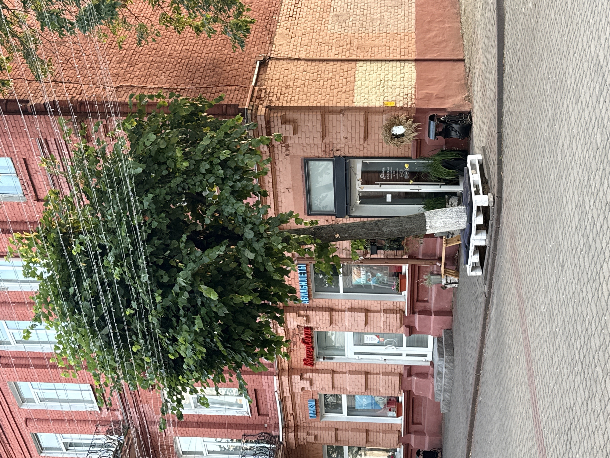 This is a photo of a brick building with several windows and doors, taken from a slightly elevated perspective. A large tree with green foliage is in the foreground, obscuring parts of the building and some overhead wires. The building appears to be a commercial establishment, with signage visible above some of the windows. The pavement in front of the building is made of cobblestones.
On the right side of the building, there is a shop with a sign that reads "Премиум" and another sign that says "АВИАБИЛЕТЫ" (which translates to "Air Tickets"). Below that, there's a sign that says "InterForm" and a sign that says "ТУРИЗМ" (which translates to "Tourism"). The windows of the building show reflections and some greenery inside. There are also some decorative elements, like a wreath hanging near the upper entrance and some plants outside the windows. A white pallet is placed near the entrance.
The time of day appears to be daytime, with natural light illuminating the scene. The weather seems to be clear. The location cues, such as the Cyrillic text on the signs, suggest this is somewhere in Belarus, likely Mahilyow as indicated. The overall impression of the scene is one of a typical street in a town or city, with businesses and urban infrastructure. There are no people clearly visible in the image.