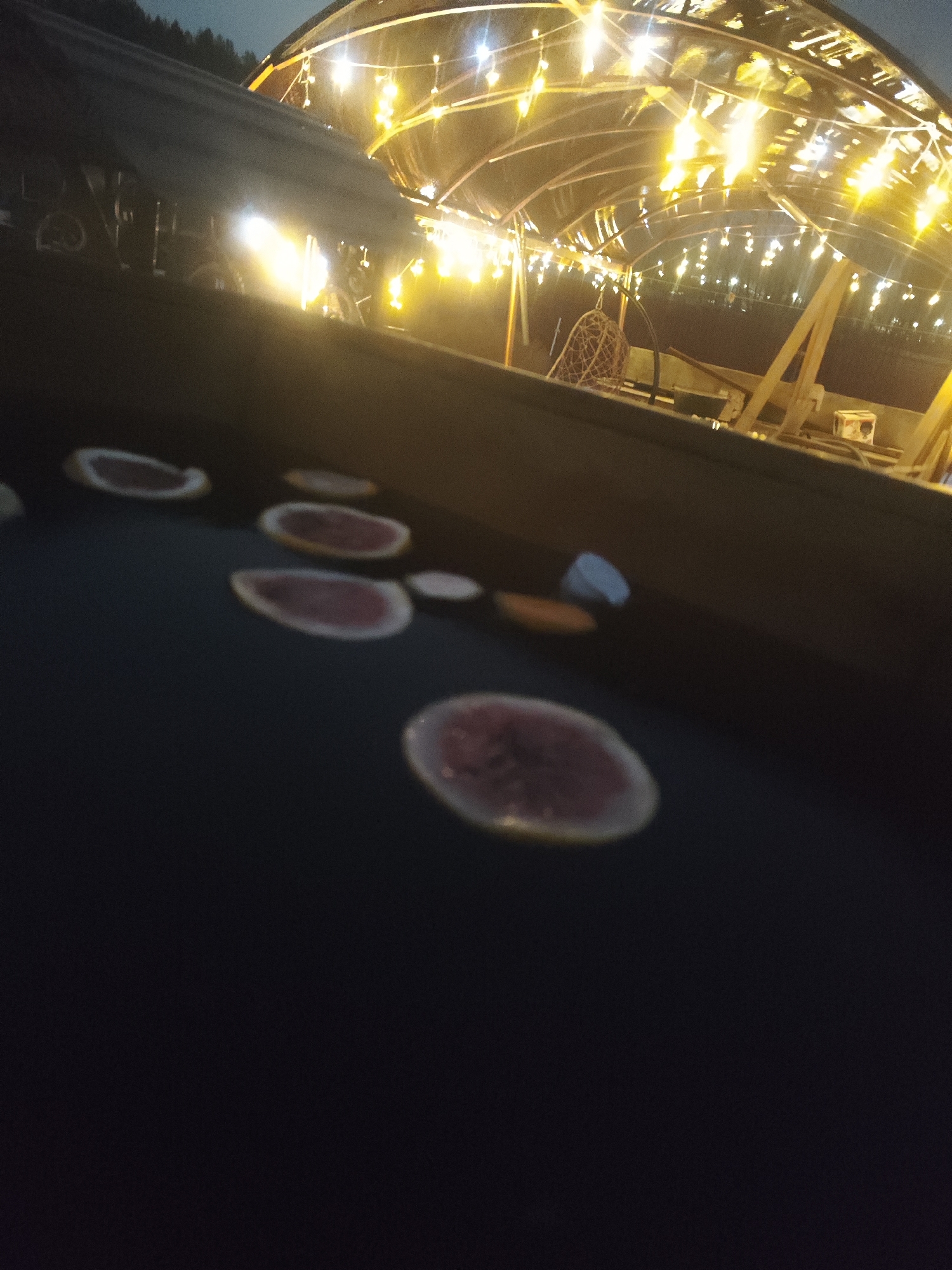 The image captures a nighttime scene, likely in the city of Chaikovsky, Russia, featuring a dark, reflective surface (possibly water) with several round, sliced fruits floating on it. The fruits appear to be citrus fruits with red or pink flesh, likely oranges or grapefruits.
In the background, there is a structure illuminated by numerous strings of lights. The structure seems to be a covered outdoor space, perhaps a patio or recreational area. The lights cast a warm glow, contrasting with the darkness of the foreground. The background also contains what appears to be forest.