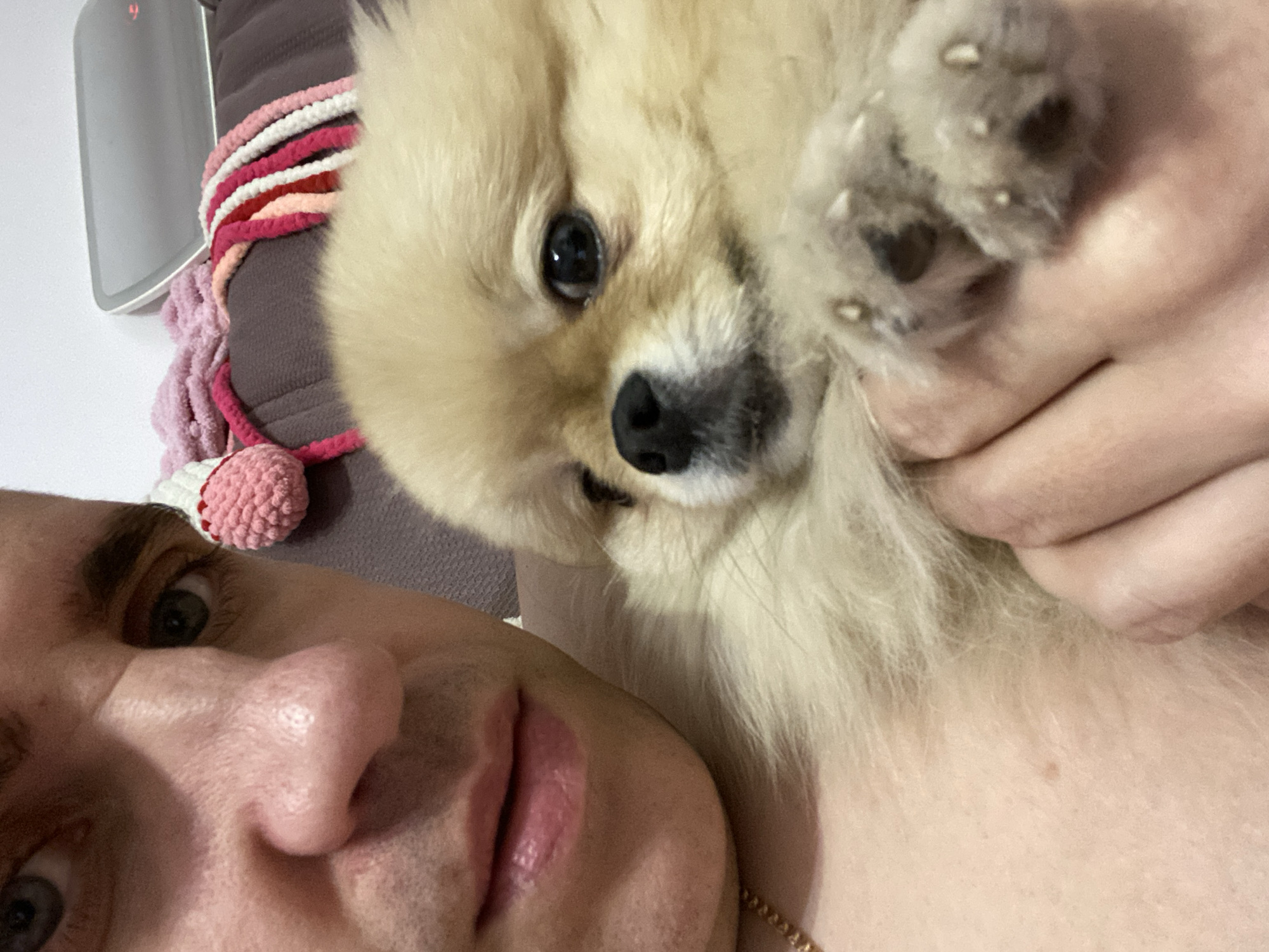 A selfie shows a man's face in the lower left corner and a Pomeranian dog in the upper right. The man has light skin, dark eyebrows, and green eyes. His lips are slightly parted. The dog is light brown with a black nose and dark eyes. Its paw is raised towards the camera. The background includes a grey pillow with pink and white yarn decorations. A white object with a red number is visible on the left. The location is unknown.