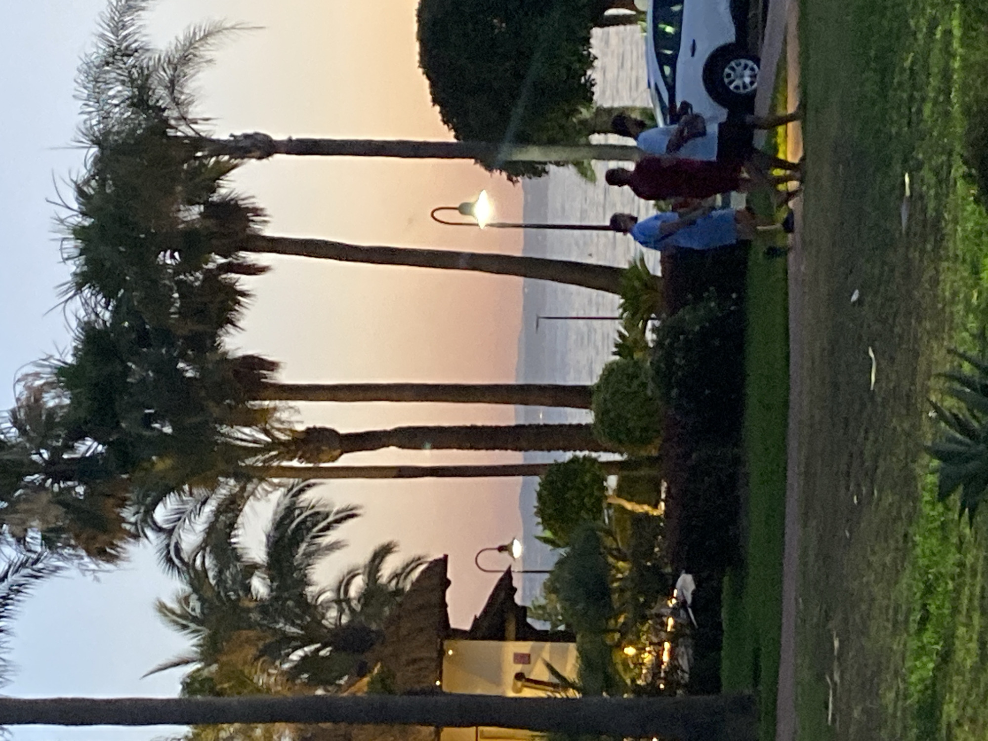 The image depicts a sunset scene at a coastal location, likely within the city of Estepona, Spain. The foreground shows a grassy area with some plants. In the mid-ground, there are several palm trees of varying heights, a thatched-roof building with a lit lamp, and three men walking on a paved area. The men are dressed casually in shorts and t-shirts. Behind them, a white car is parked. The background features the sea, with distant land visible on the horizon. The sky is illuminated with the warm hues of a sunset, transitioning from light orange to pale blue. A streetlamp is visible between two palm trees, casting a warm glow. The overall atmosphere is serene and tropical.