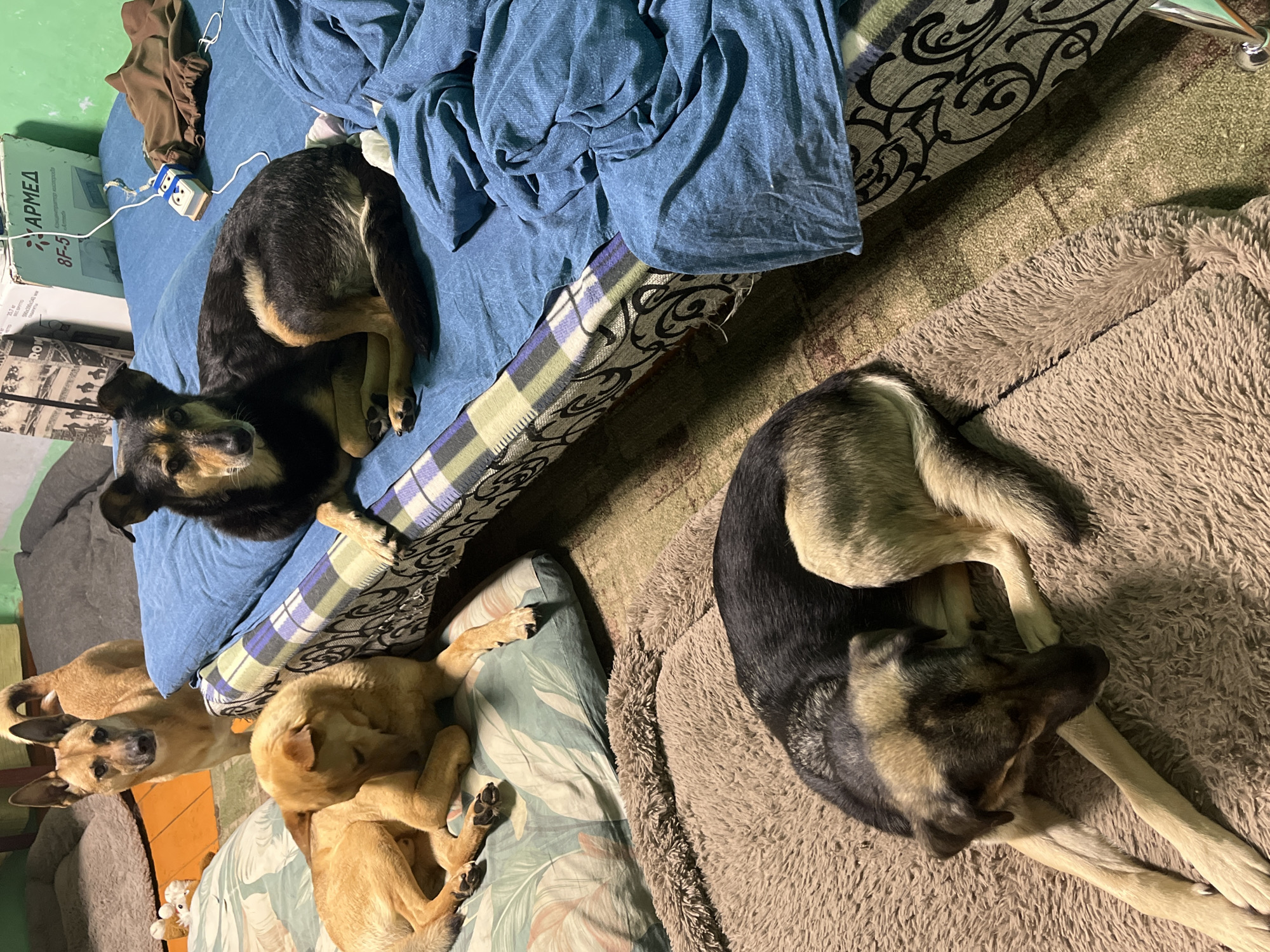 Memory