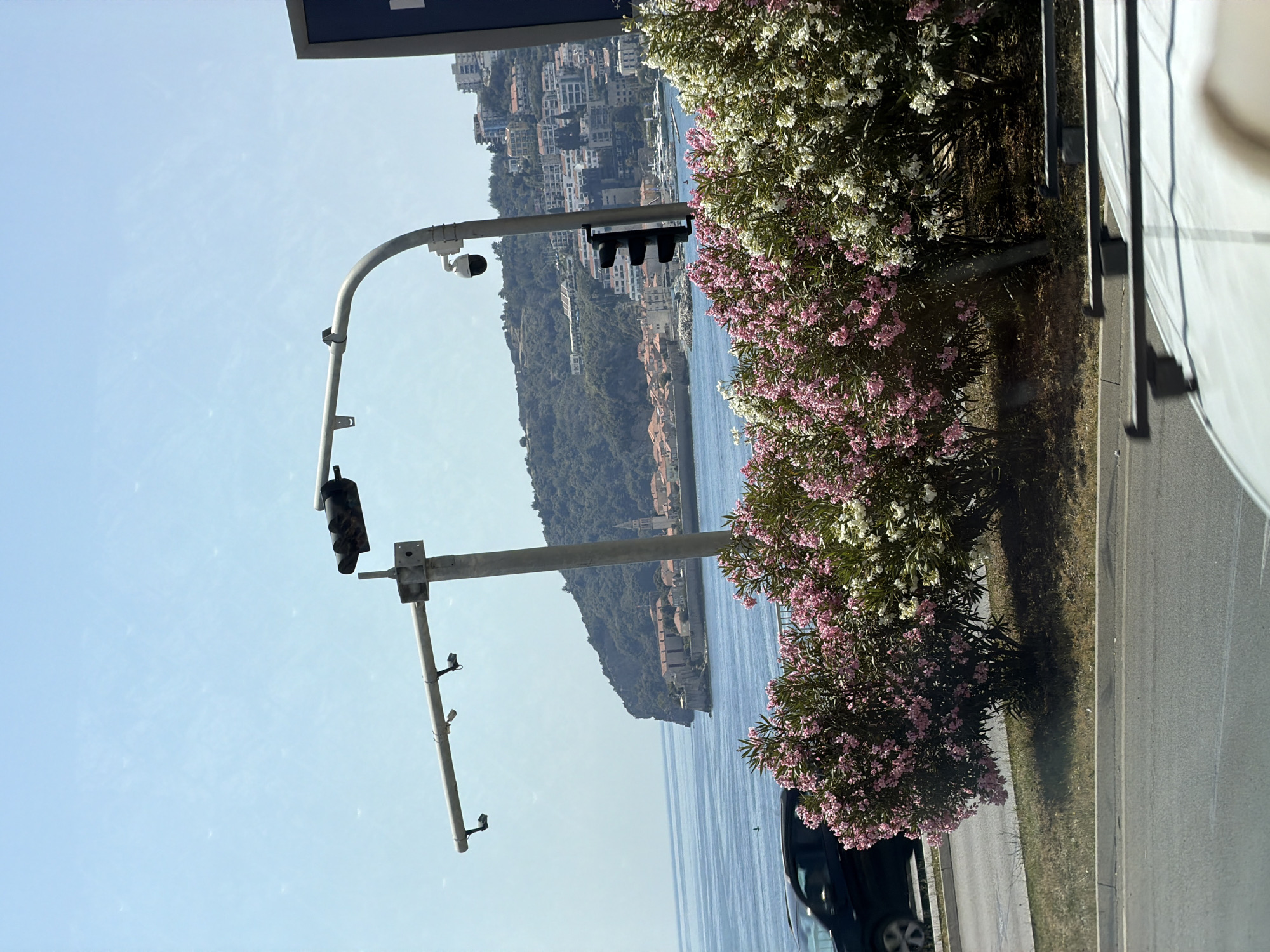 This is a photograph taken from a vehicle, likely in motion, showing a coastal city scene. In the foreground, flowering bushes with pink and white blooms line a road. A dark-colored car is visible in the left mid-ground, driving on the road. Above the bushes, a traffic light signal and a security camera are mounted on a pole with an extended arm. In the background, a body of water, likely the Adriatic Sea, is visible, with a peninsula or headland jutting out. Beyond the water, a city with red-tiled roofs and white buildings is nestled on a hillside, topped with a church spire. The sky is clear and blue. The image appears to be taken in Donji Pobori, Montenegro, given the characteristic architecture and coastal landscape.