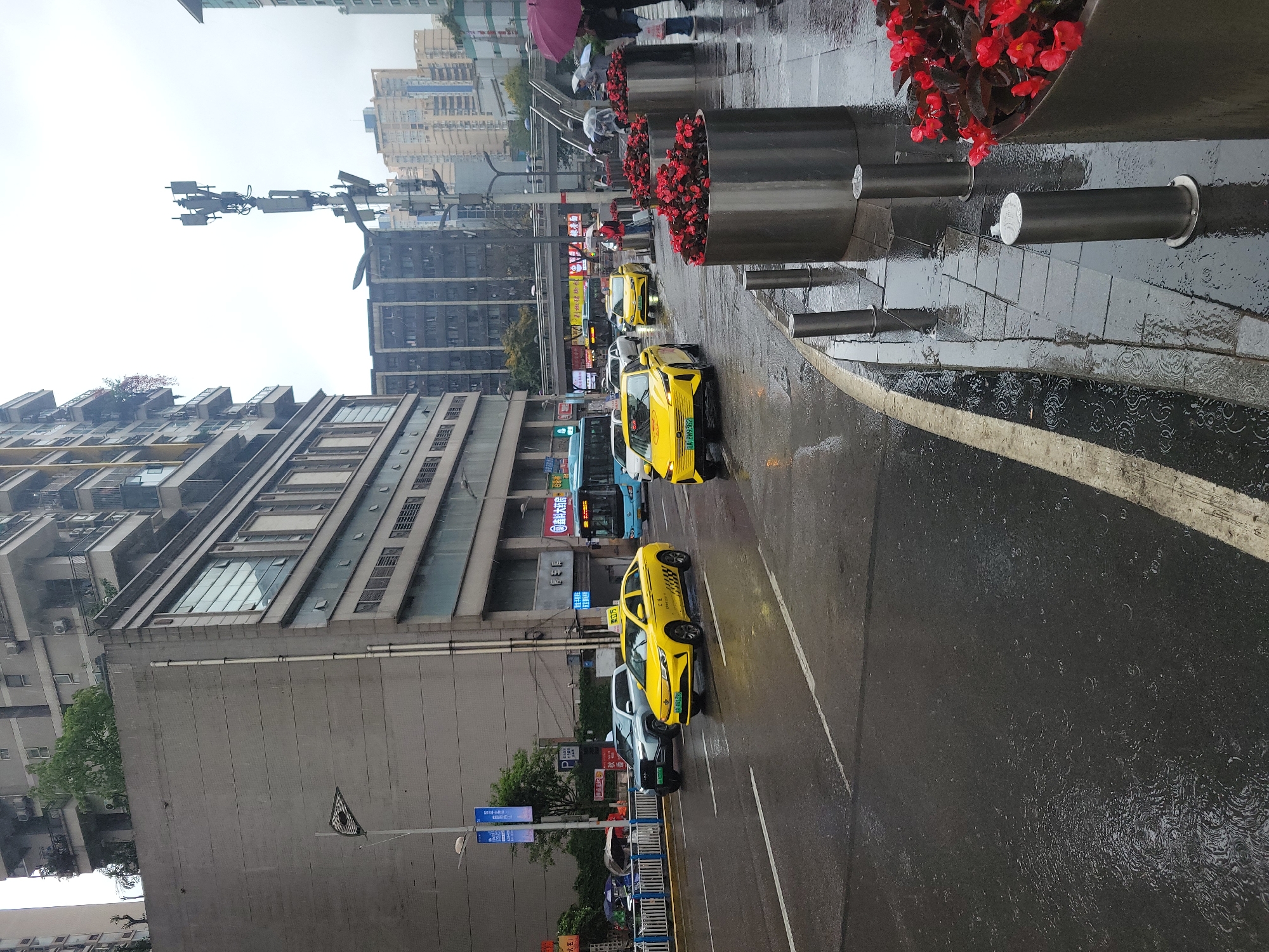 The image captures a bustling city street in Liangjiang, China, during a rainy or recently rained-upon daytime. The asphalt road is visibly wet with reflective surfaces, puddles, and ripples, indicating ongoing or recent precipitation. The sky above is overcast.
Numerous pedestrians, many holding umbrellas (including a distinct pink one), are visible on the sidewalk to the right. This sidewalk is adorned with large, dark grey planters filled with bright red flowers, likely begonias, and punctuated by dark metal bollards.
The street is occupied by several vehicles. Prominently featured are multiple yellow taxis, consistent with those used in Chinese cities, some displaying green license plates indicating they are electric vehicles. Visible license plate numbers include "DA BM9352" and "DA BM973C". A grey SUV and a blue public bus are also present on the road.
Multi-story buildings, a mix of residential and commercial, line both sides of the street, featuring various window designs and air conditioning units. Overhead, a complex utility pole with multiple antennas and devices stands out against the sky. Street signs and shopfronts display Chinese characters. One blue sign clearly indicates "禁止停车" (No Parking), and a shop sign for "联通" (China Unicom) is also discernible. The scene depicts everyday urban life continuing despite the wet weather.