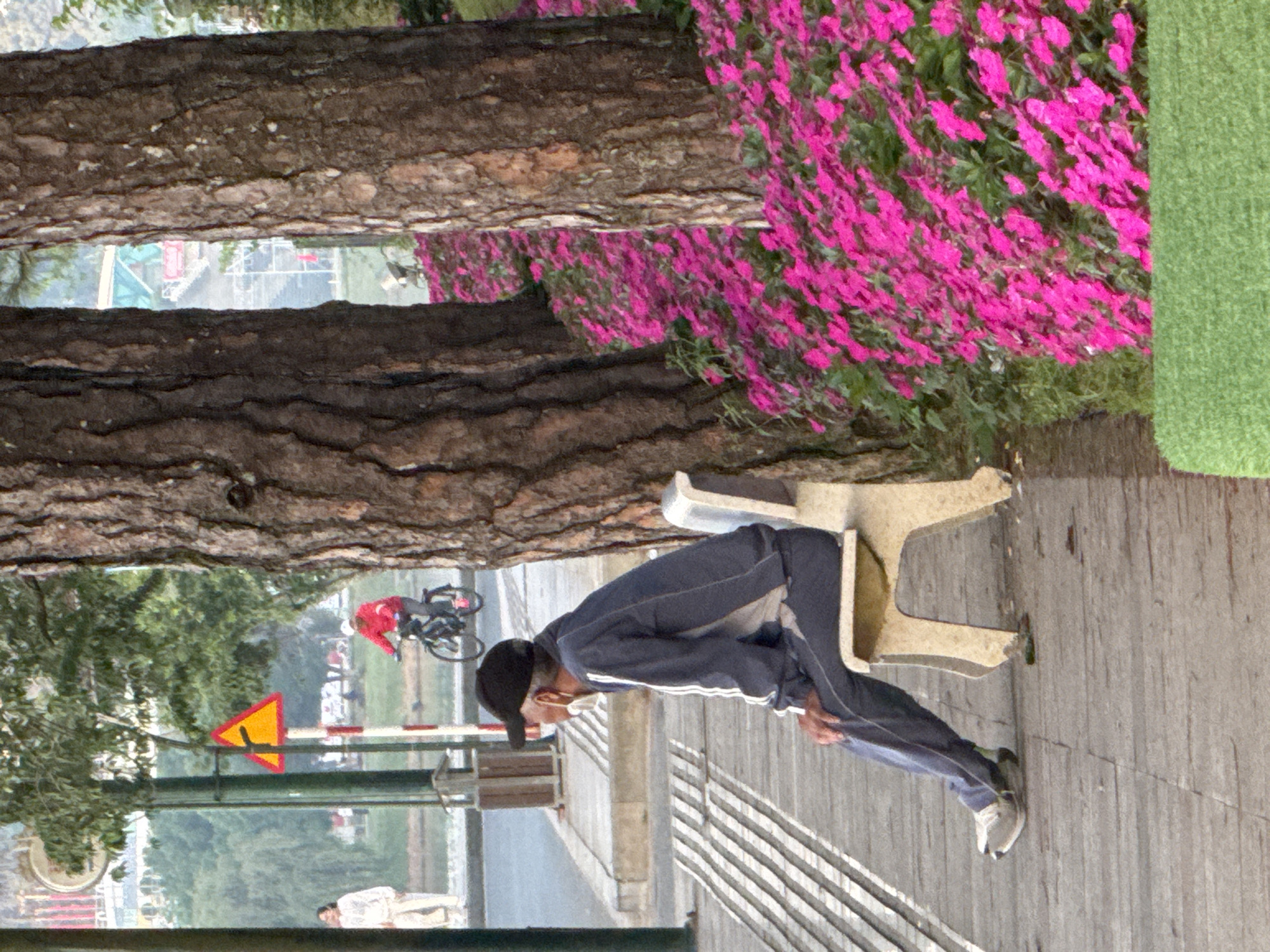 The image depicts a tranquil scene in Da Lat, Vietnam, likely along Xuan Huong Lake. In the foreground, a man wearing a dark tracksuit, black cap, and face mask sits on a light-colored bench. He is facing towards the left of the frame, with his left leg extended. Beside him, a dense bed of vibrant pink flowers slopes downwards towards the right. Two large tree trunks frame the right side of the image. In the middle ground, a paved walkway is visible, with a patterned surface to the left of the bench. A person in a white outfit is seen walking in the background on the left, and a cyclist in a red jacket rides a bicycle further back. A yellow triangular warning sign is mounted on a pole behind the cyclist. The environment suggests a public park or promenade, with trees, flowers, and a paved area for pedestrians and cyclists. The overall atmosphere is calm and serene, capturing a moment of everyday life in the city.