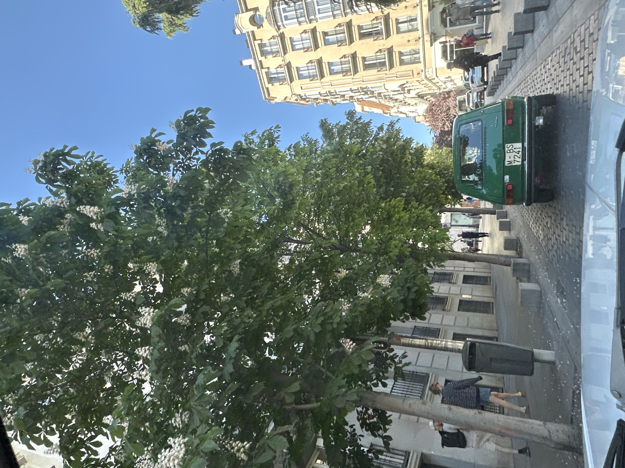 The scene depicts a street in Madrid, Spain, with a green classic car parked on the side with the license plate M-BS 7241. A tall building with multiple windows and balconies is in the background. A tree with white flowers is prominent on the left. Several people are walking on the sidewalk. A street trash can is on the right. The photo appears to be taken from inside a vehicle.