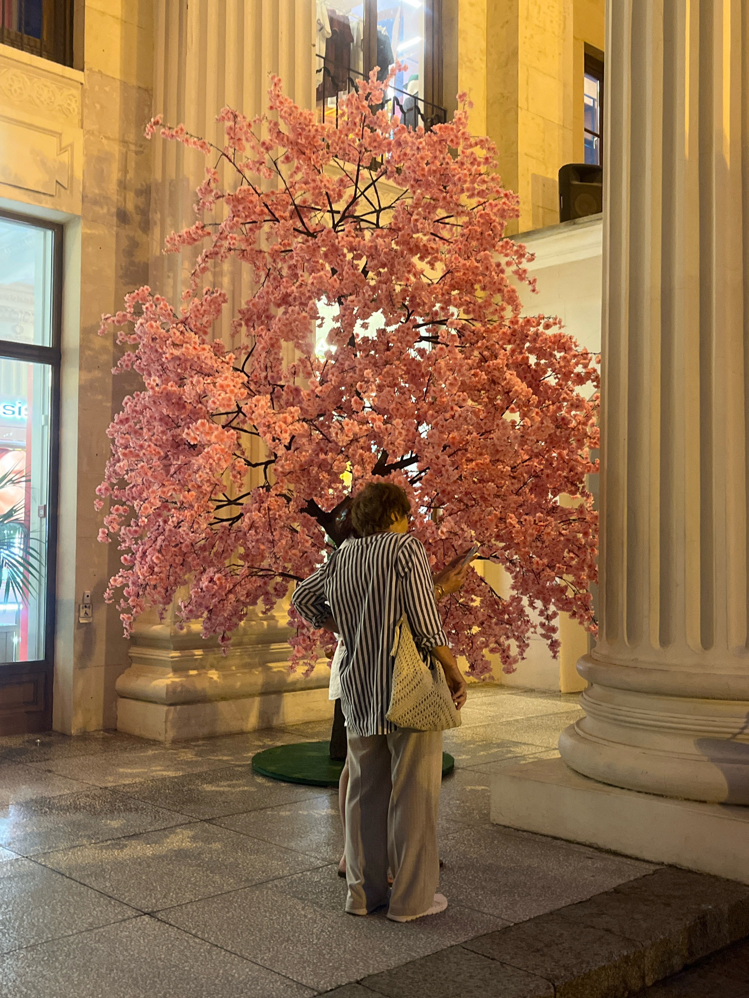 Two people stand in front of a large, artificial cherry blossom tree. The tree is a vibrant pink and has many delicate flowers. One person, wearing a striped shirt and tan pants, is holding a phone and appears to be taking a picture of the tree. The other person, partially obscured, is also looking at the tree. They are standing on a tiled walkway, with large columns flanking the scene. The background shows architectural details of a building, lit by warm yellow lights. The overall atmosphere is calm and picturesque. It is not possible to determine the exact location as Sochi, Russia from the provided image.