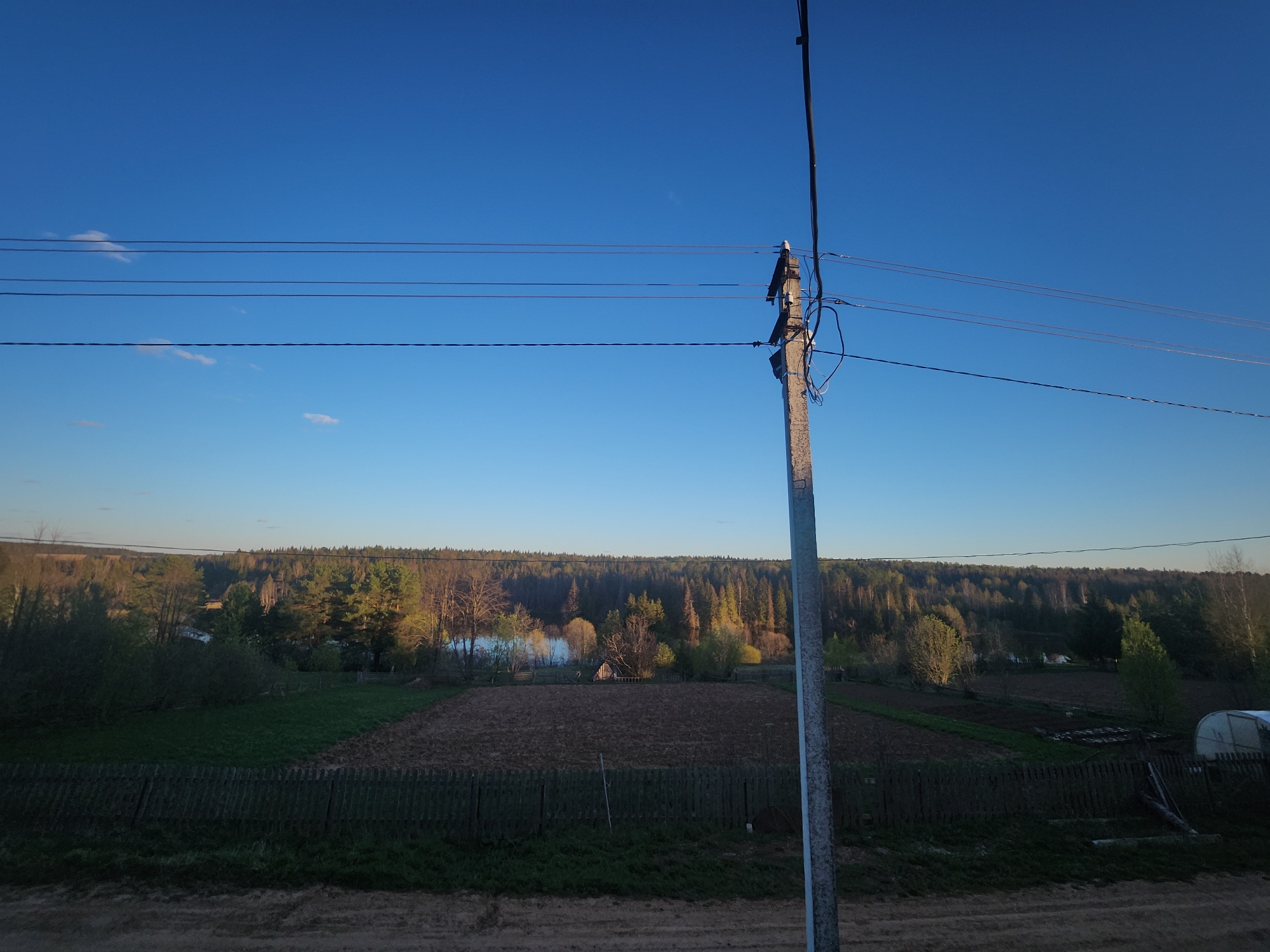 The image depicts a rural scene in Архангельское, Russia, observed during daylight. In the foreground, there is a wooden fence, partially obscured by ground cover. Beyond the fence are agricultural fields with areas of tilled soil. In the distance, a dense forest stretches across the horizon, with a body of water visible amidst the trees. A utility pole with power lines is prominently positioned in the mid-ground, its wires intersecting the clear blue sky. No people or interactions are apparent in the image.