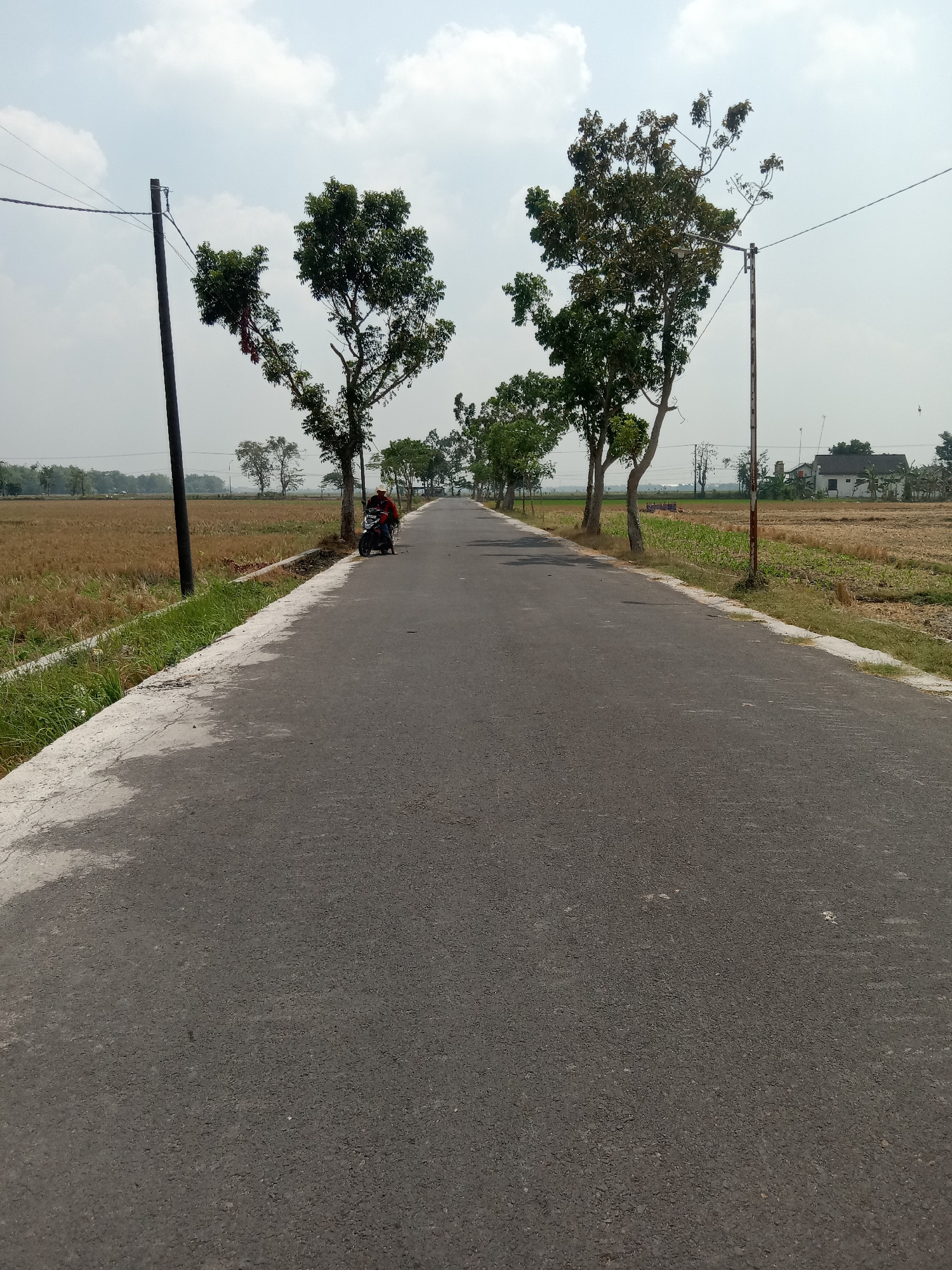 The image shows a paved road with asphalt in the city of Mayangkawis, Indonesia. The road is lined with grass and a ditch on the left side, and trees and fields on both sides. In the distance, there are houses and more trees. The sky is partly cloudy. On the right side of the road, a person is sitting on a motorcycle. The motorcycle is black and red, and the person is wearing a red shirt. The road extends into the distance and appears to be a rural or suburban area. The fields appear to be agricultural, possibly planted with crops. The overall scene suggests a bright, clear day.
