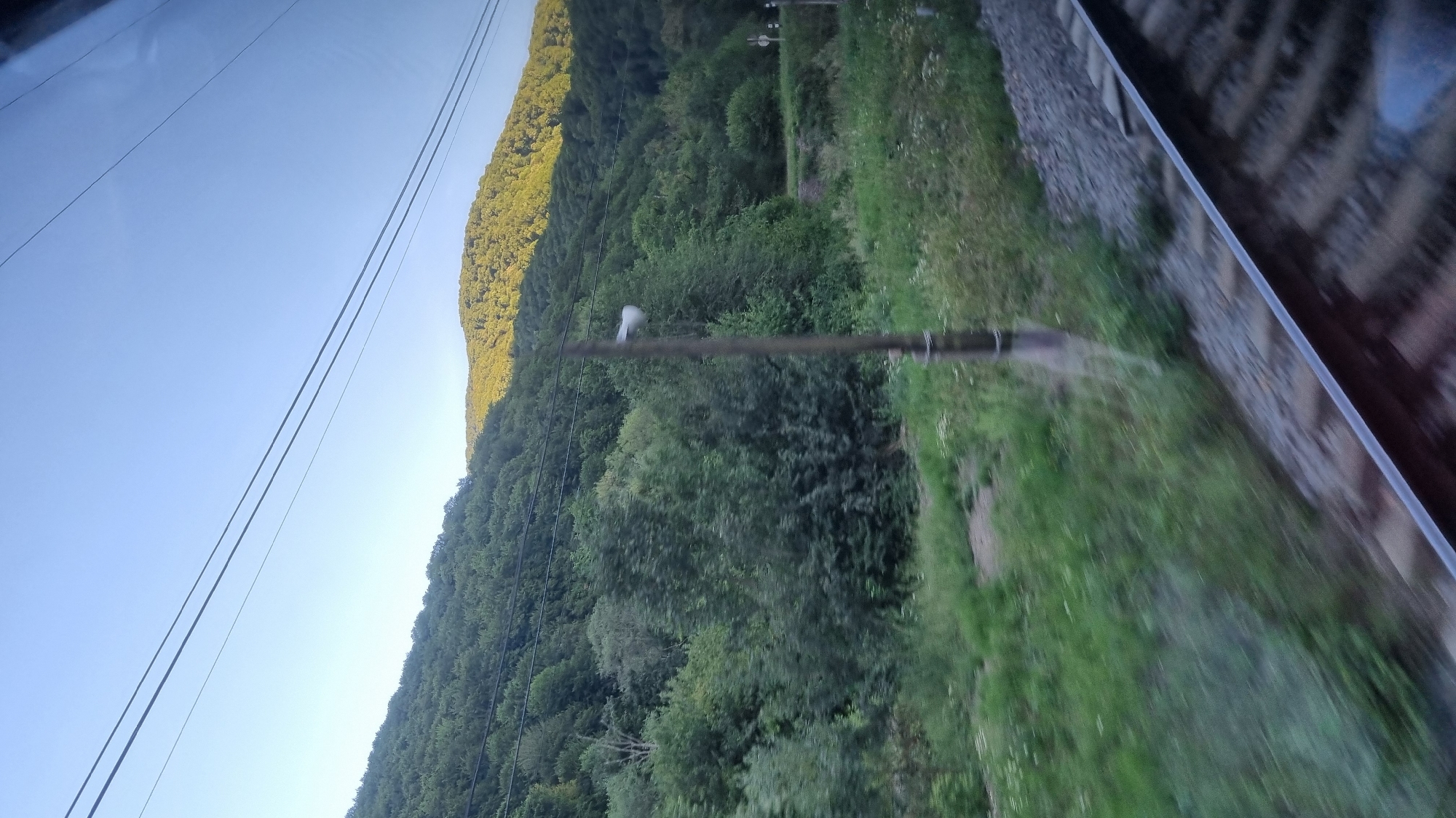 The image depicts a scenic view from a moving train in Vovchyi, Ukraine. The foreground shows a blurred section of train tracks and surrounding grassy terrain. In the midground, a tall, slender utility pole with a circular attachment stands amidst lush green vegetation. Beyond the pole, a dense, tree-covered hillside ascends towards the horizon. The upper portion of the image is dominated by a clear blue sky, with two parallel power lines stretching across it. Sunlight illuminates the upper slopes of the hills, creating a warm glow against the predominantly green landscape.