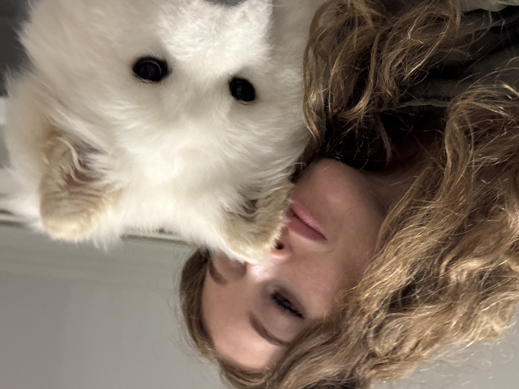 The image captures an intimate, close-up portrait of a person and a small, fluffy white dog, rotated approximately 90 degrees counter-clockwise from a standard upright viewing orientation. The dog, likely a Samoyed puppy or similar breed, occupies the upper left portion of the frame. It has dense, white fur and small, dark, round eyes that appear to be looking towards the viewer. Its pinkish muzzle is pressed gently against the person's face, near their nose and mouth.
The person, who appears to be female, is positioned in the lower right, with her light brown, wavy hair framing her head. Her eyes are closed or mostly closed, and her lips are slightly parted, accented with a light lipstick. This suggests a moment of quiet affection, peace, or comfortable relaxation. One of the dog's furry paws is also visible near the person's mouth.
The background is a soft, plain, light color, indicating an indoor setting. The lighting is even and natural, highlighting the textures of the dog's fur and the person's hair. The overall impression conveyed is one of warmth, companionship, and a loving bond between the individual and their pet. No text is visible in the image. The provided context states the image was taken in Chaikovsky, Russia.