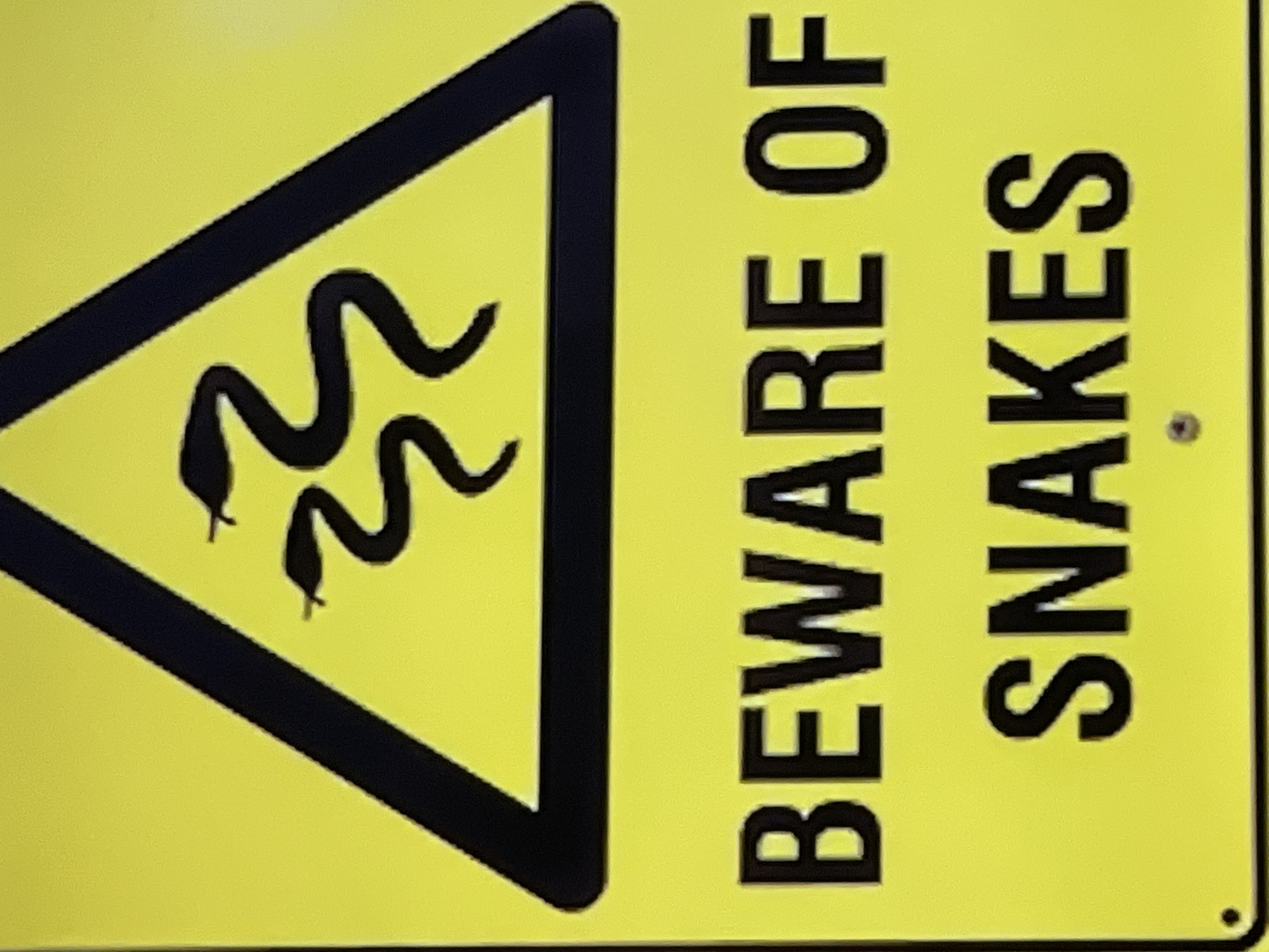 The image is a close-up shot of a yellow warning sign. The sign features a black border and a black triangle at the top, inside which are two black silhouettes of snakes coiled together. Below the triangle, the words "BEWARE OF" are printed in large, black, sans-serif capital letters on the first line, and "SNAKES" is printed in the same style on the second line. The sign appears to be made of metal and has a slightly glossy finish. There is a small, dark circular element, possibly a rivet or screw hole, visible near the bottom left corner of the sign. The background is a uniform bright yellow. The sign is positioned outdoors, as indicated by the lighting and slight reflections. The specific location in Pattaya City, Thailand, cannot be determined from the image alone, as the sign is generic and no local landmarks or context are visible.