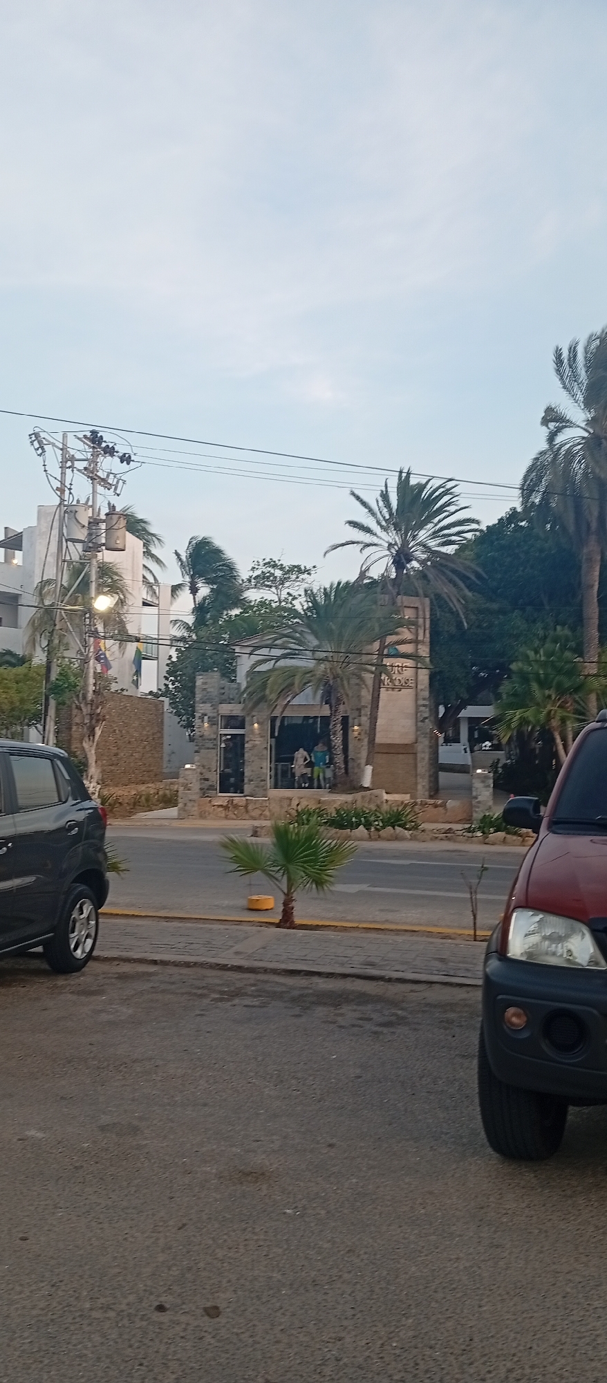 The image depicts a street scene in El Yaque, Venezuela, featuring a storefront identified as "Surf Paradise". The store appears to be open, with mannequins visible in the window. Two vehicles are present in the foreground, a dark-colored SUV on the left and a red SUV on the right, partially obstructing the view of the scene. A small palm tree is planted on the sidewalk between the two cars. Overhead power lines are visible, running parallel to the street. The sky is overcast. Other buildings and vegetation, including palm trees, are visible in the background.