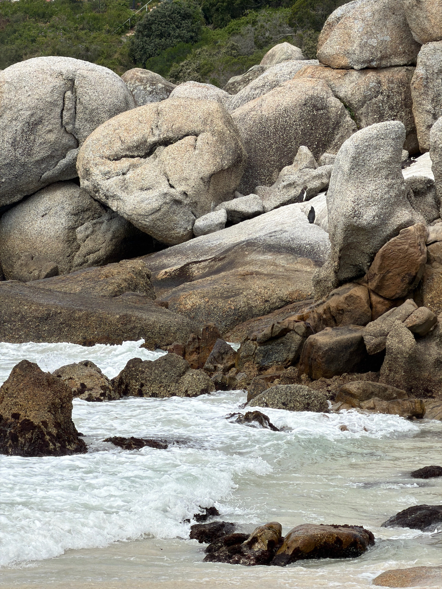The image depicts a rocky coastline with waves lapping at the shore. Large, weathered granite boulders dominate the scene, with smaller rocks and pebbles scattered throughout. The water is a clear turquoise, with white foam from the breaking waves. In the background, lush green vegetation covers the hills. Two penguins are visible on a large rock formation in the middle ground, appearing to be resting. This scene is consistent with the landscape found at Boulders Beach in Simon's Town, South Africa, a well-known breeding ground for African penguins. The overall impression is one of a natural, coastal environment.