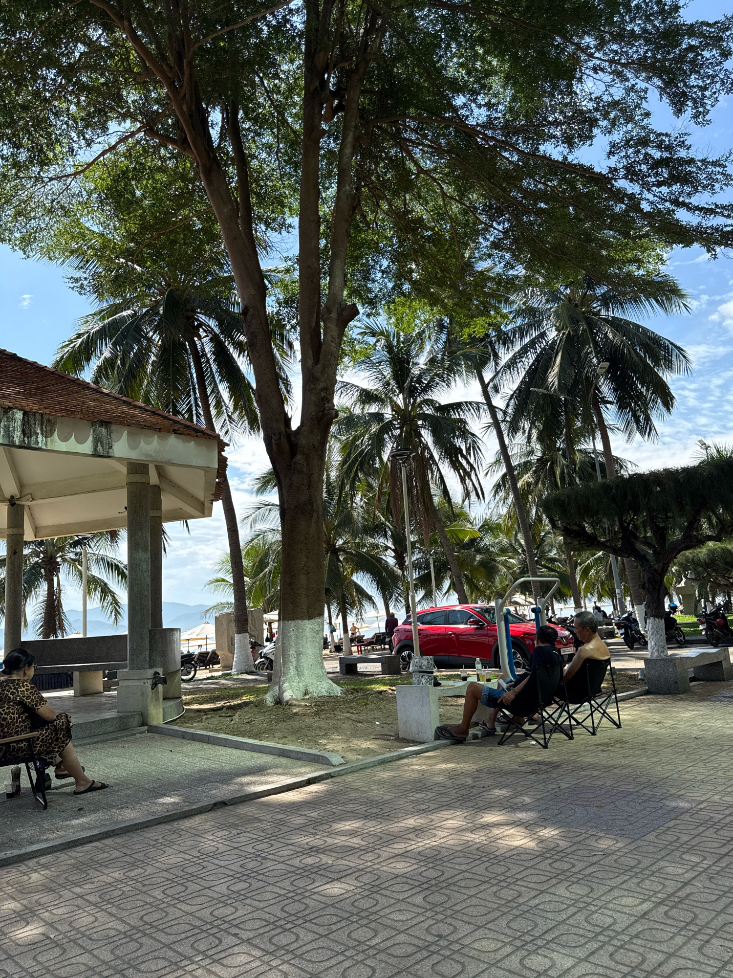 This is a medium shot of a sunlit park on a clear day in Nha Trang, Vietnam. In the foreground, a woman in a leopard print dress sits on a bench facing left, while two men sit in folding chairs facing right. The man on the left is wearing a black shirt and blue shorts, and the man on the right is bare-chested with his back to the camera. A red car is parked behind them, next to outdoor exercise equipment. Palm trees and other foliage are abundant throughout the scene, with a covered structure on the left. In the background, several motorcycles are parked, and a body of water and mountains are visible in the distance. The sky is blue with scattered white clouds.