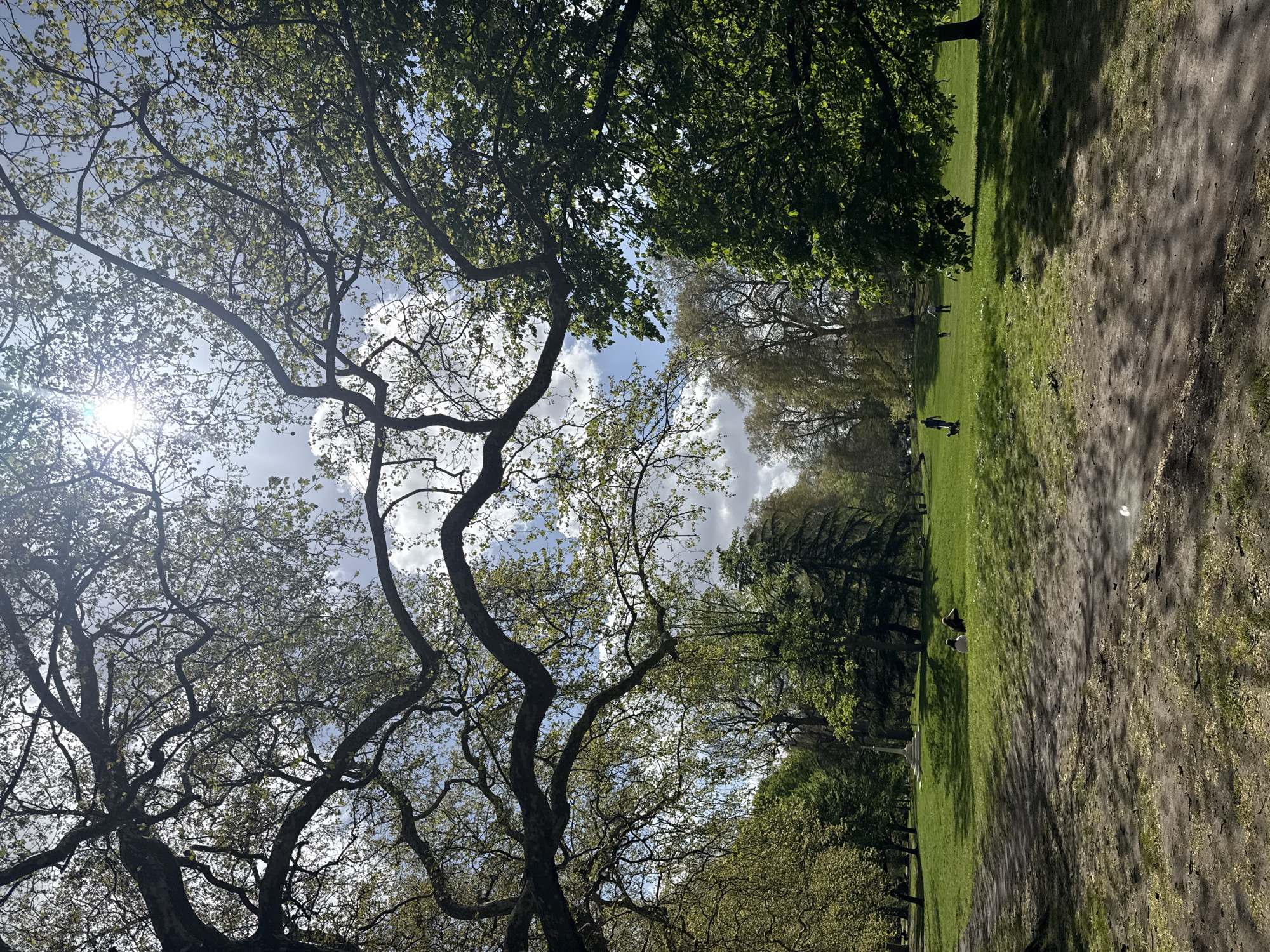 The image shows a park scene in London, United Kingdom. The view is from a low angle, looking up through the branches of trees towards the sky. The sky is partly cloudy, with bright sunlight visible. Below, the scene opens onto a wide expanse of green grass, with a dirt path running alongside it. Several people are scattered across the grassy area, some walking and others standing or sitting. Other trees surround the perimeter of the green space. The image seems to capture a typical day in a London park.