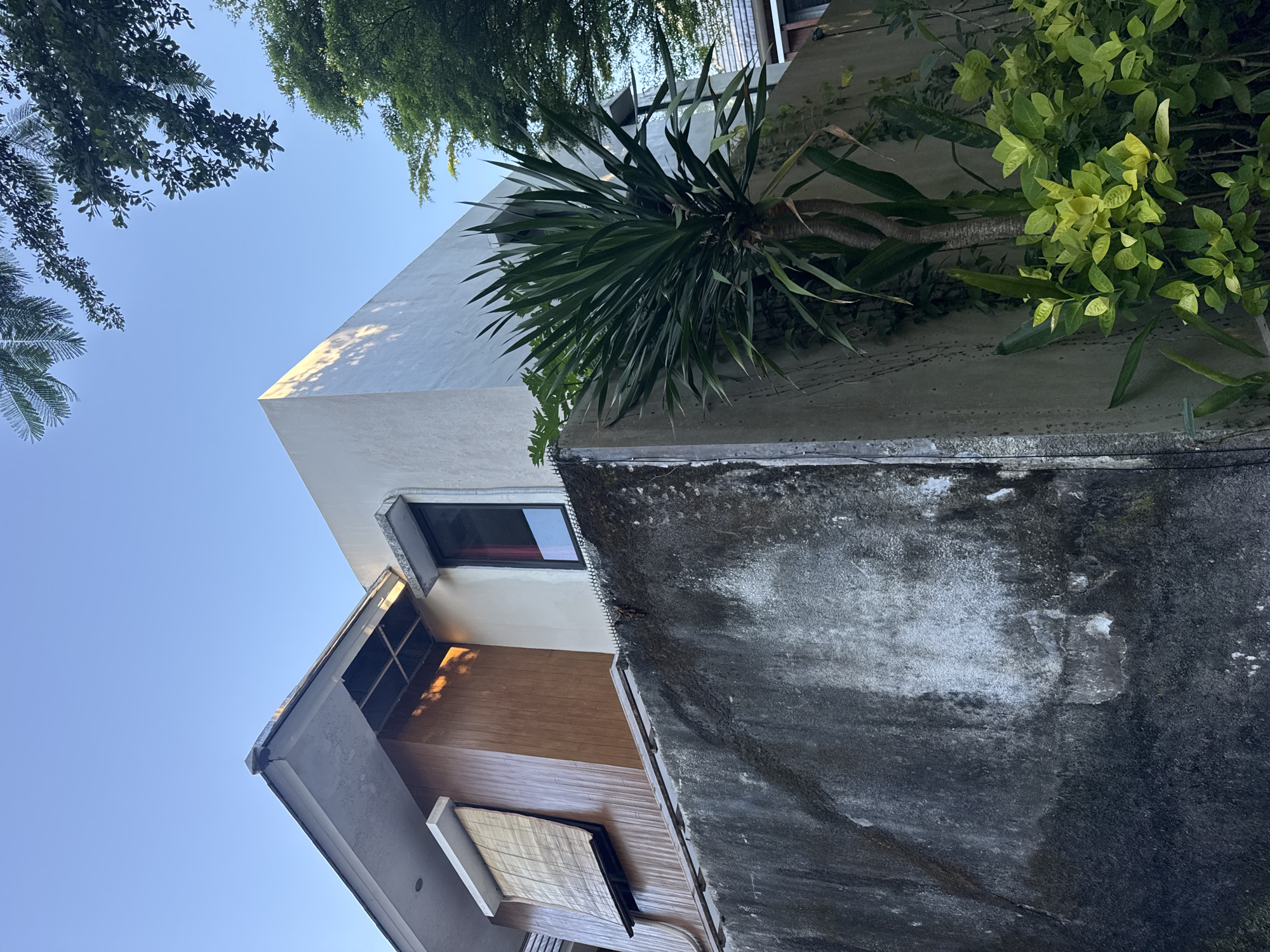 The image shows a low-angle view of a building in Kuta Selatan, Indonesia, during daylight. The building has a multi-layered design, featuring a grey and white concrete exterior, wooden paneling, and a flat roof. A window is visible. Plant life, including a yucca-like plant and other greenery, grows along the building's edge and the roof. The sky is clear and blue. A tree is also visible.