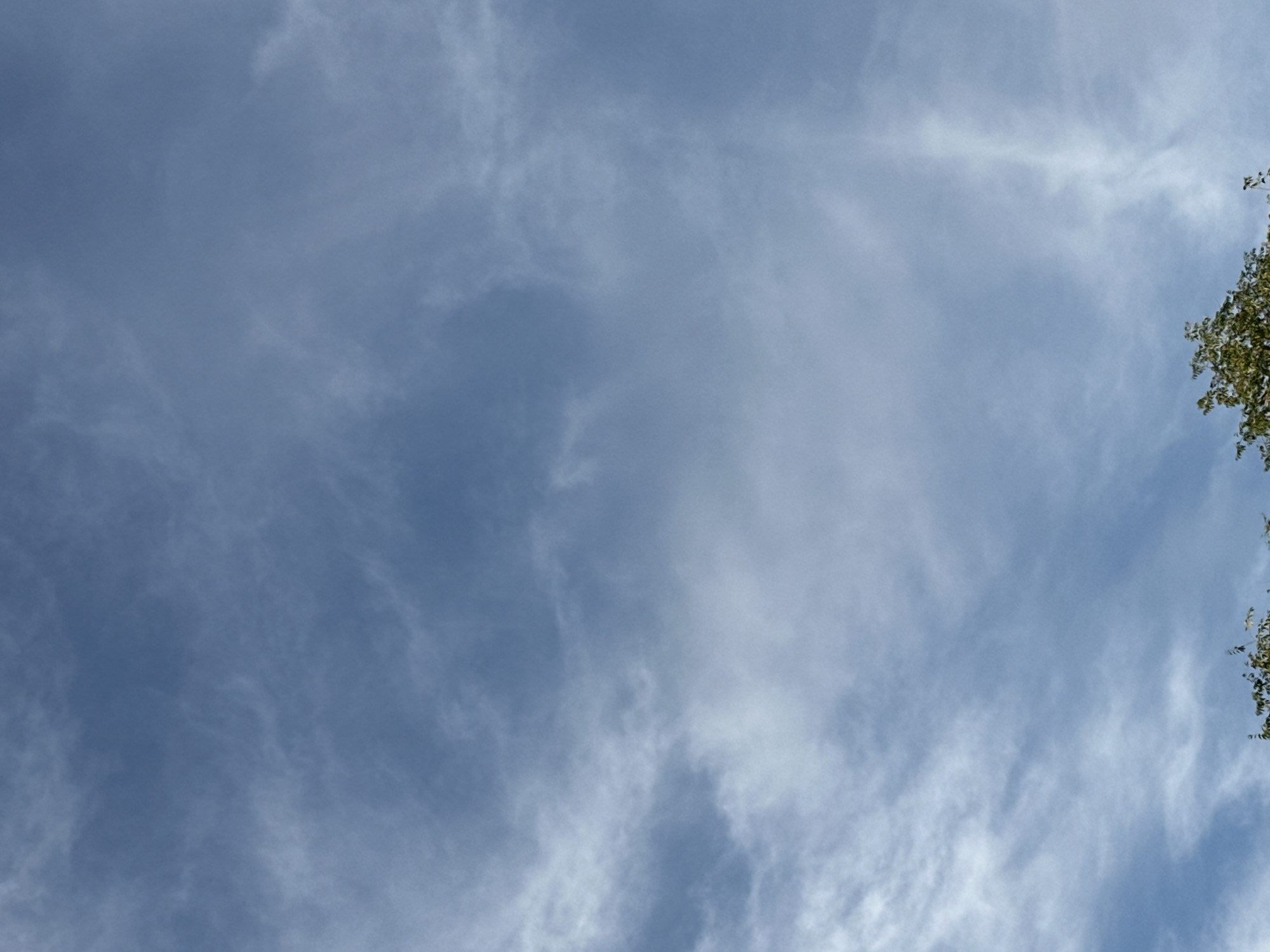 The media file is a still photograph of a light blue sky with wispy white clouds. The clouds are scattered and appear thin, suggesting fair weather. Towards the right edge of the frame, the upper branches of a tree with green leaves are visible, partially obscuring the sky. The lighting suggests it is daytime, likely mid-morning or afternoon, given the bright sky. There are no people or specific objects identifiable in the scene, beyond the natural elements of sky, clouds, and tree foliage. The overall mood is calm and serene, typical of a clear or partly cloudy day. No text is visible in the image.