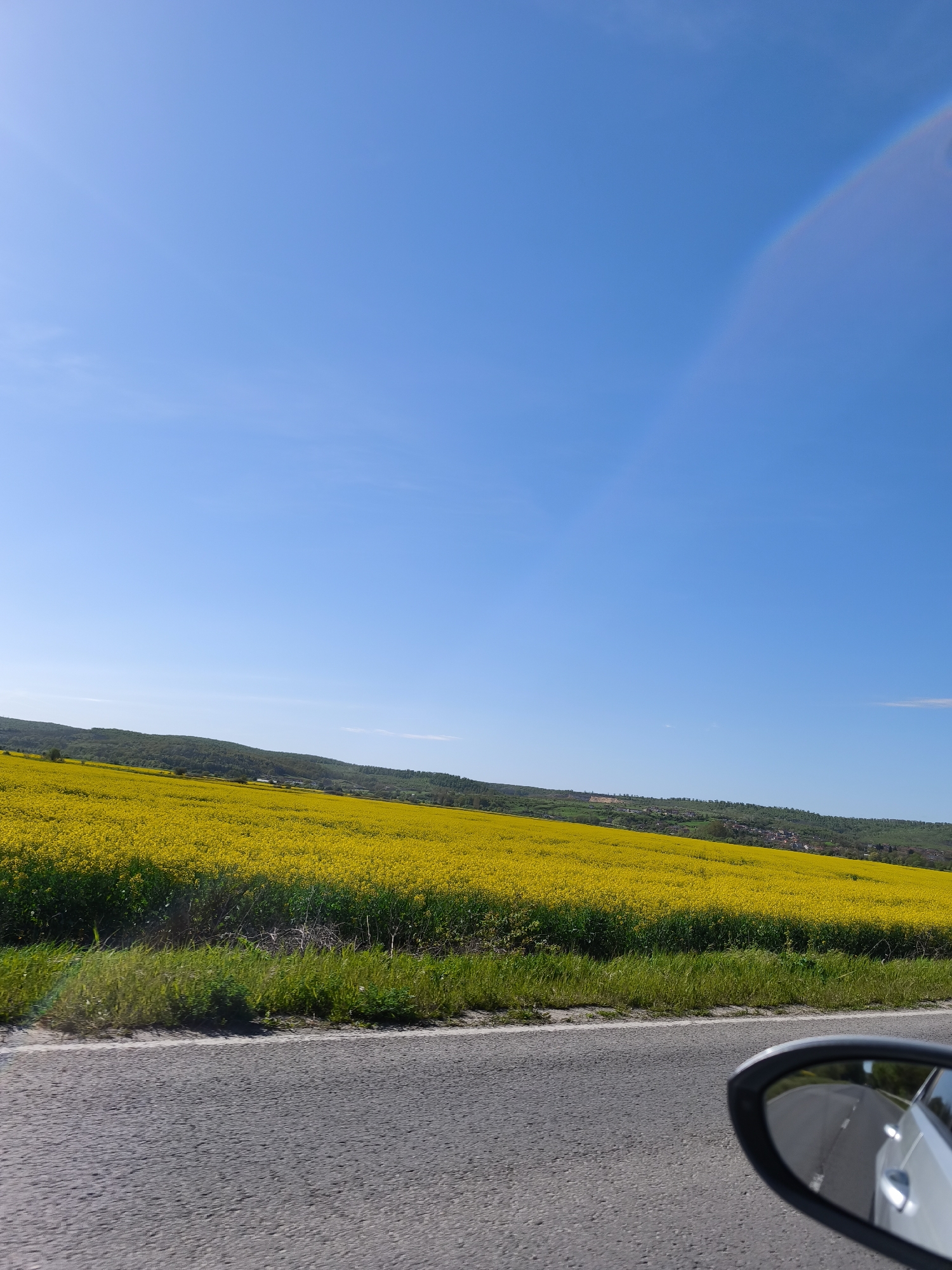 The image depicts a roadside scene in Staro Oriahovo, Bulgaria. A field of bright yellow flowers stretches towards a tree-lined ridge in the background. The sky is clear and blue. The foreground shows a grey asphalt road, partially obscured by the side mirror of a vehicle. The mirror's reflection hints at a white or light-colored vehicle.