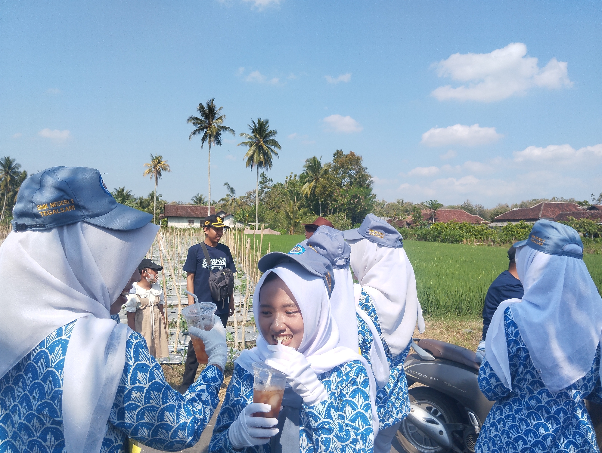 In Karangdoro, Indonesia, on a sunny day, a group of people, likely students and an adult, are gathered outdoors near a rice paddy. The foreground is dominated by two young women wearing white hijabs and matching blue and white patterned jackets. Both are wearing white gloves and holding clear plastic cups with drinks and straws. One of the women is actively sipping from her drink, with a bright smile. The other woman, positioned more to the left, is also holding a drink.
Behind them, a man in a dark blue t-shirt and a yellow cap is visible, appearing to be observing or interacting with someone off-camera. Further back, a young girl in a light brown dress and a face mask stands in a field with stakes, suggesting agricultural activity.
The environment includes tall palm trees, lush green vegetation, and traditional Indonesian houses with red tile roofs in the background. A scooter is parked to the right of the frame. The sky is a clear blue with a few scattered white clouds. The overall scene suggests a break or a moment of refreshment during an outdoor activity or event in a rural setting.
