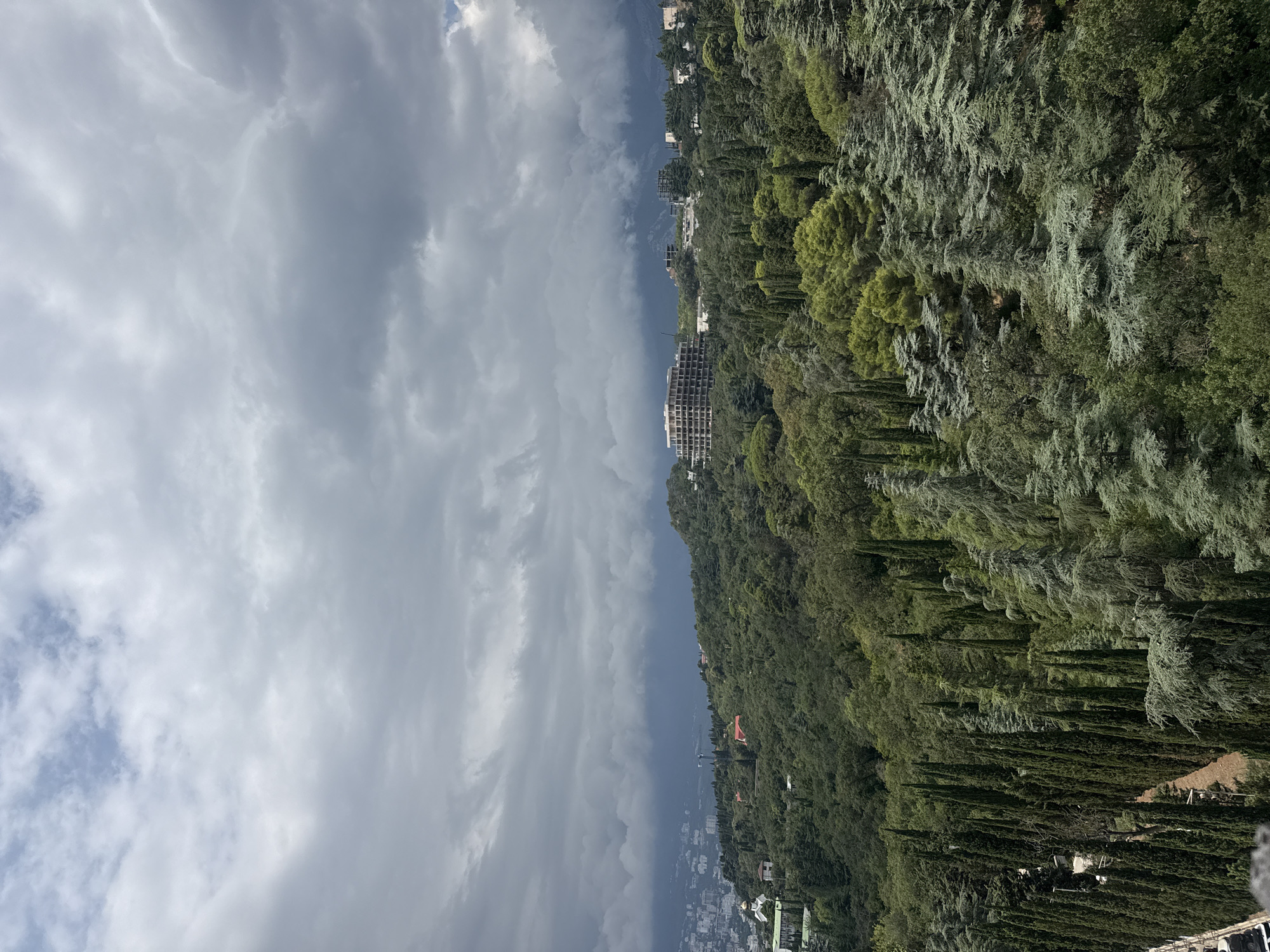 The image depicts a panoramic view of a densely forested hillside overlooking a city and the sea, under a dramatic, overcast sky. In the foreground, a variety of evergreen trees, including tall, slender cypresses and broader cedar trees with a bluish-green hue, create a textured, verdant landscape. The trees are arranged in rows and clusters, with some extending to the very edge of the frame.
Mid-ground reveals more of the lush, green vegetation covering the hills. Scattered among the trees are several buildings. Notably, a large, multi-story, circular building with a lighter-colored facade stands prominently on a higher elevation, possibly a hotel or resort. Other structures, including houses with red roofs and what appears to be a church with a golden dome, are visible peeking through the foliage on the left side of the image. Further in the distance, a city with numerous buildings stretches towards the horizon, suggesting a coastal location. The sea is faintly visible beyond the city.
The background is dominated by a heavy, dark grey and white cloud formation, with hints of blue sky peeking through in places. The clouds create a sense of impending weather, perhaps rain or a storm. The lighting is diffused due to the cloud cover, casting a somewhat somber mood over the scene. The overall impression is one of a natural landscape integrated with human settlement, with a powerful sky overhead. The location is identified as Massandrovsky settlement council, Ukraine.