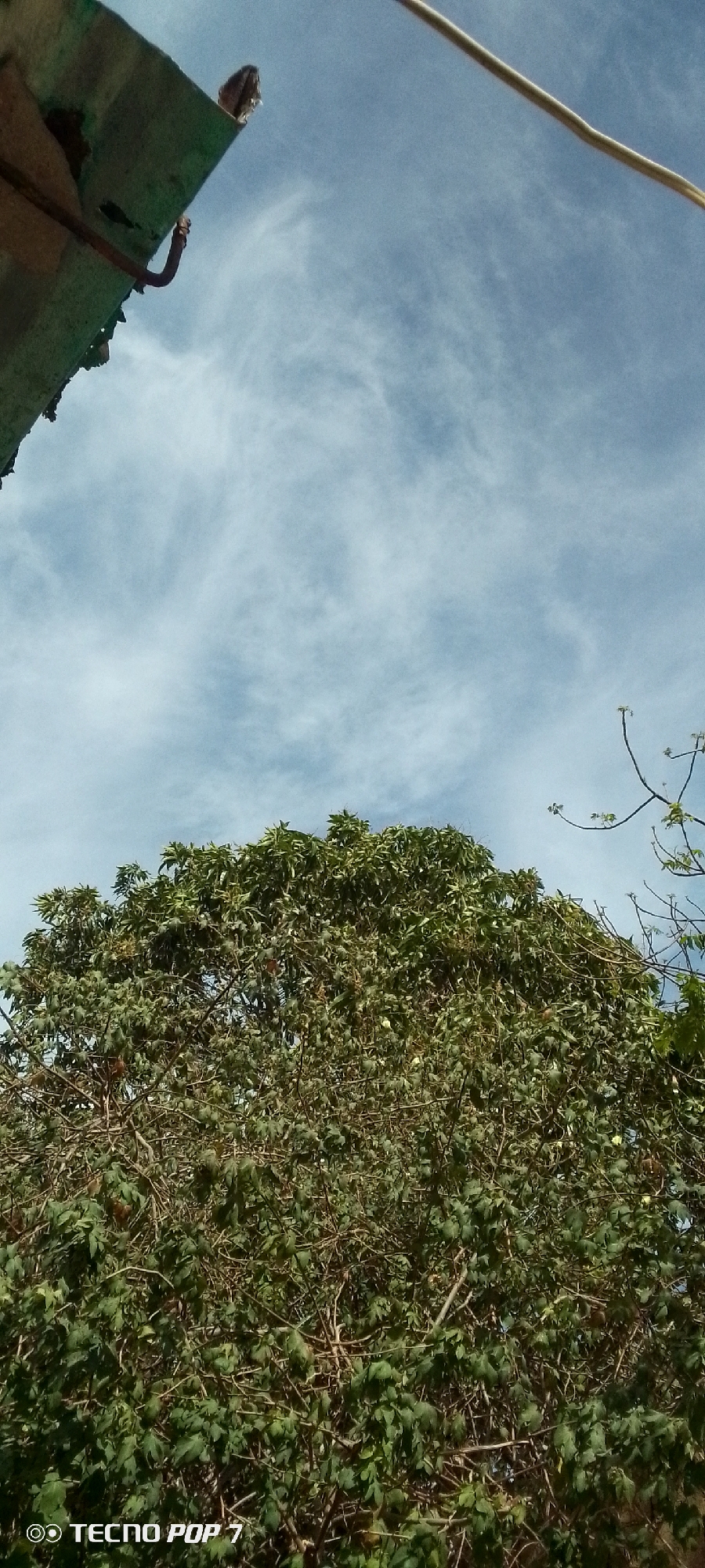 The image, likely taken in Altagracia, Venezuela, presents a low-angle view of a lush, green tree with dense foliage filling the lower portion of the frame. Patches of light-blue sky with wispy clouds are visible above the tree. In the upper-left corner, a section of a green, possibly metallic roof is present, showing signs of wear and minor damage. A thin wire or cord stretches across the upper-right area of the sky. The image shows elements of the natural environment integrated with urban construction. At the bottom is the visible TECNO POP 7 brand of the cell phone used to take the picture.