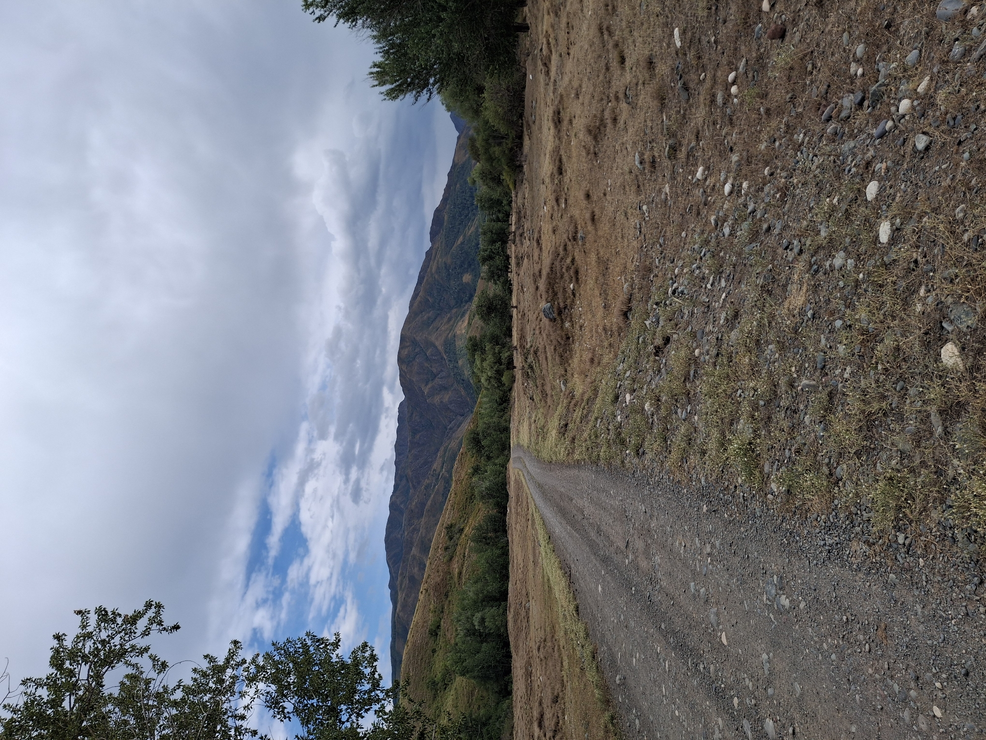 The image depicts a rural landscape with a gravel road winding through dry, grassy terrain. In the foreground, the road is composed of dark gravel and small stones, bordered by sparse, dry vegetation. To the left, a portion of a tree with green leaves extends into the frame from the top. The midground features a wide expanse of dry, golden-brown grass dotted with scattered rocks and small bushes. A line of trees with lush green foliage stretches across the middle distance, separating the open field from the rolling hills beyond. The background is dominated by large, undulating hills with a muted brown and green coloration, indicating dry vegetation and possibly bare rock in some areas. The sky above is partially cloudy, with patches of blue sky visible through a mix of light gray and darker, more ominous clouds. The scene appears to be set in the outskirts of Сапақ, Kazakhstan, characterized by its arid climate and hilly topography.