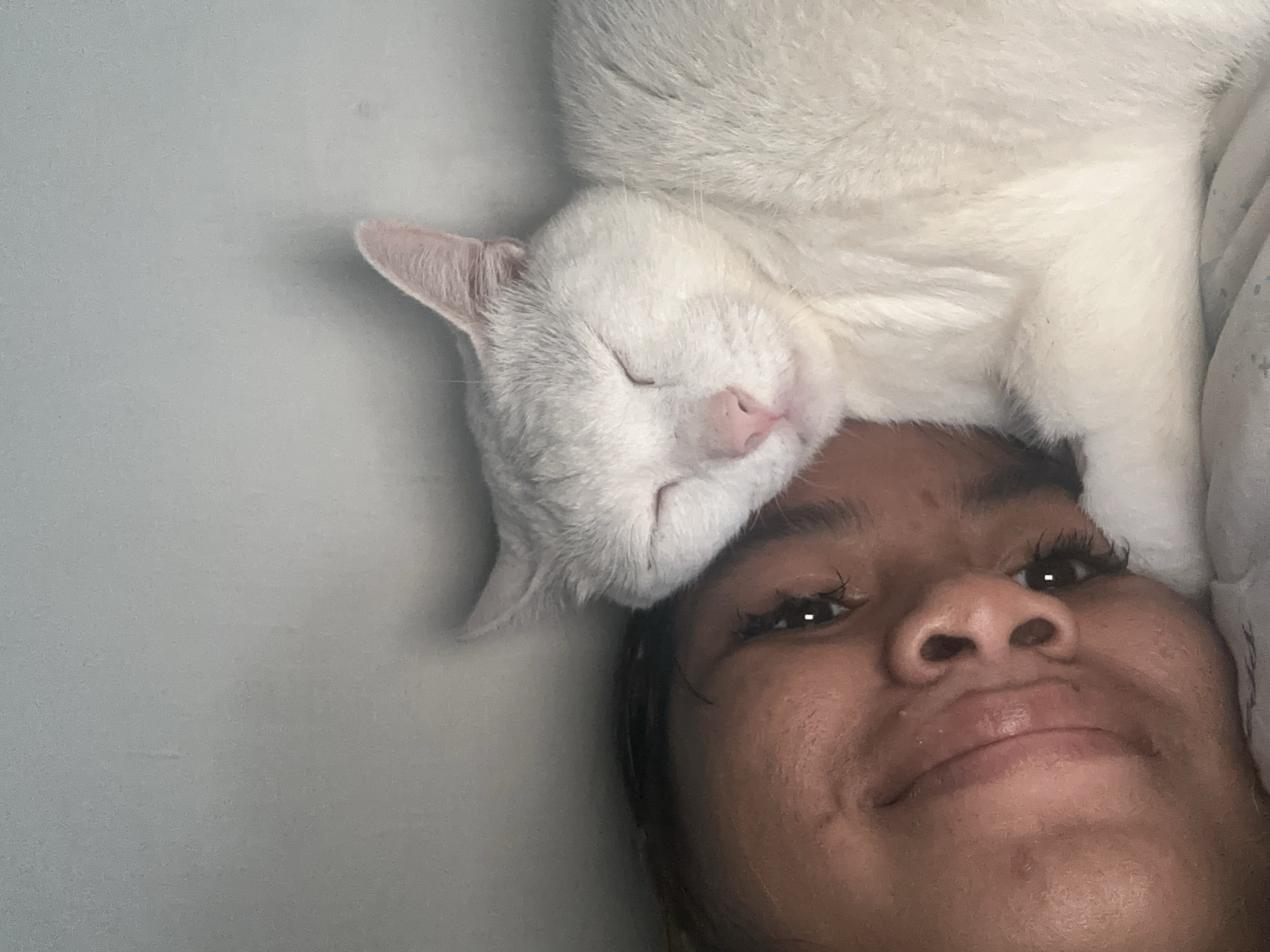 A selfie taken from a low angle shows a person and a white cat lying down. The person is a female with dark hair and brown skin. She is smiling slightly and looking up at the camera. The cat is lying on the person's head and chest, with its eyes closed. The background is a light gray or blue surface. The image was likely taken indoors. I am unable to determine the location in the city of North Jakarta, Indonesia.
