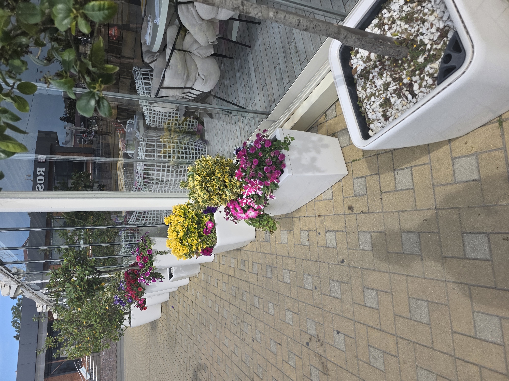 The image shows a street scene with planters along a sidewalk. The sidewalk is paved with light brown and grey bricks. The planters are white and contain various flowers and plants, including yellow and purple flowers, as well as small trees. A building with a glass facade is visible behind the planters, reflecting the outside environment. Outdoor furniture, including tables and chairs, can be seen through the glass. The location may be Krasnodar, Russia.
