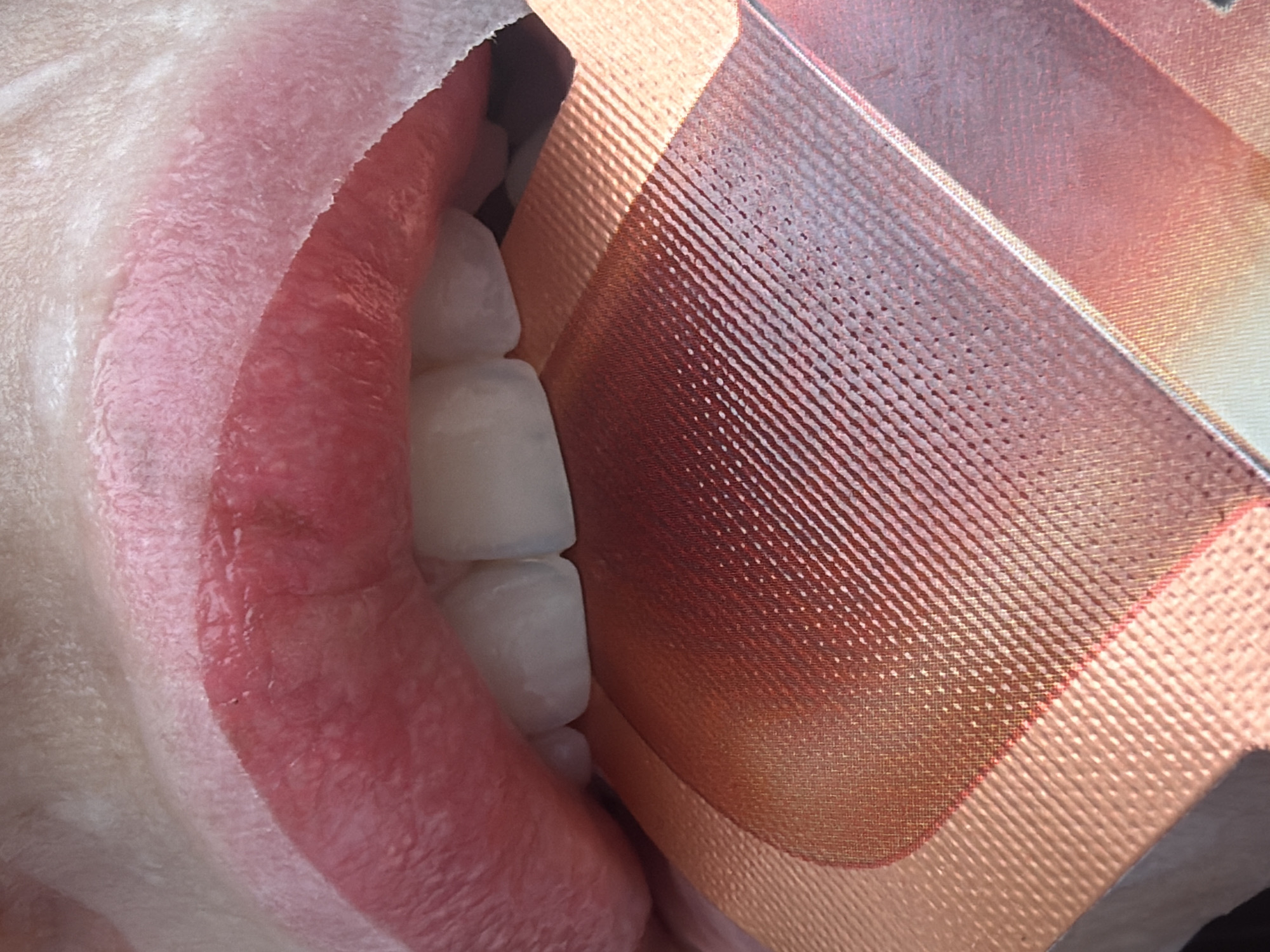 A close-up view depicts a person's mouth, slightly open, with white teeth visible. A textured, patterned object, appearing to be made of a fabric or material with a woven design, is inserted into the mouth, partially obscuring the teeth. The lips are pink and moist, while the surrounding skin appears pale. The setting or specific location within Unknown, Russia, is not discernible from the provided image.