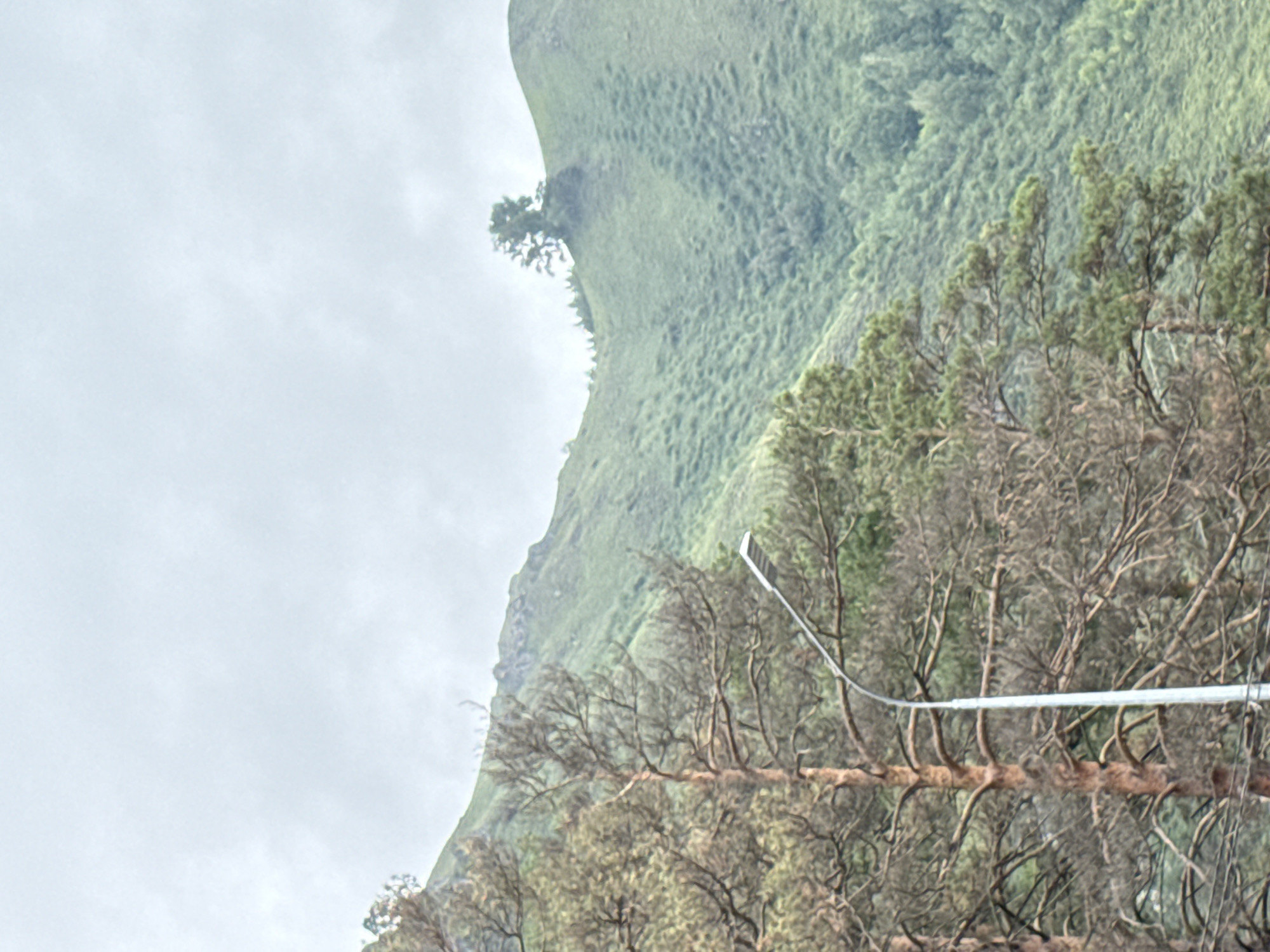 The image shows a view of a green mountain slope in Manzherok, Russia, under a cloudy sky. In the foreground, there are trees, some of which appear dead or dry, with visible branches. A modern street lamp with a white pole and a rectangular light fixture is positioned in front of the trees, angled upwards. The mountain itself is covered in lush green vegetation, with a solitary tree standing out near the crest of the slope. The overall scene suggests an outdoor, possibly rural or park-like environment. There are no people visible in the image.