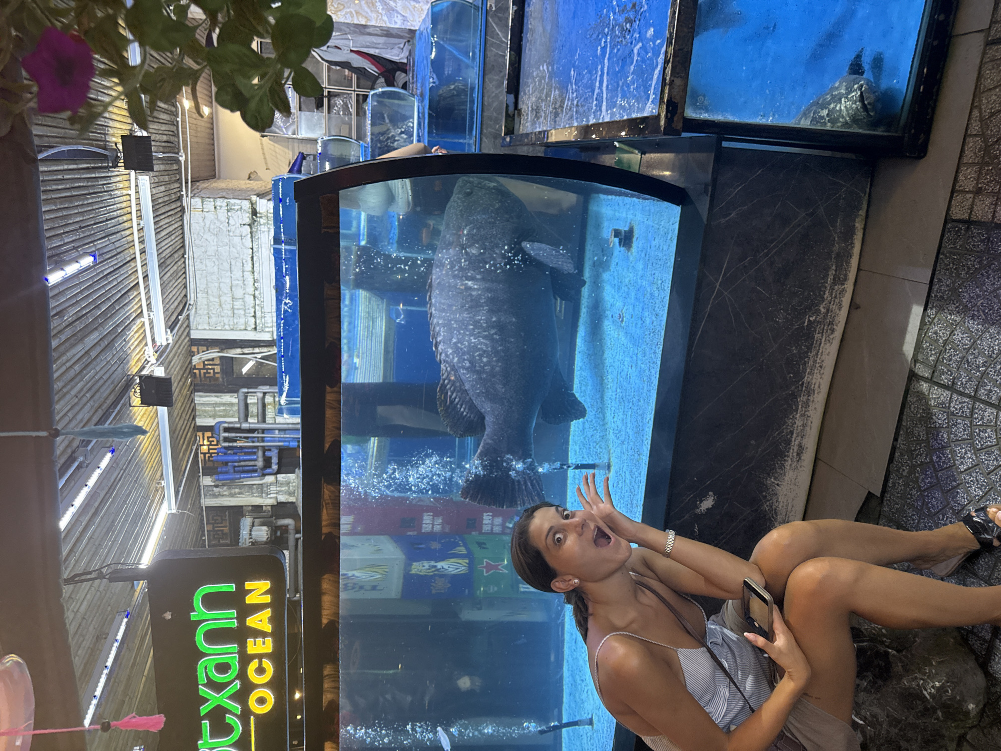 A photograph taken at night depicts a woman in front of a large fish tank outside of what appears to be a restaurant or aquarium in Đà Nẵng, Vietnam. The woman is light-skinned with dark hair pulled back and is wearing a light-colored striped top and a light-colored skirt. She is seated on the ground, holding a smartphone in her left hand and has her right hand raised in a surprised gesture near her face. Her mouth is open in an expression of astonishment.
Behind her, a large aquarium contains a sizable fish, appearing speckled and dark, with prominent fins. The aquarium is partially visible, with additional tanks in the background, one containing another fish. The tanks are filled with water that appears to be illuminated.
To the left, a sign with the words "Đt xanh" in green letters and "OCEAN" in yellow letters is visible. The environment appears to be an outdoor area, possibly a sidewalk or patio, as indicated by the patterned paving stones on the lower right of the image. The lighting is ambient, with illumination coming from the tanks and the sign. The photograph is rotated counterclockwise.