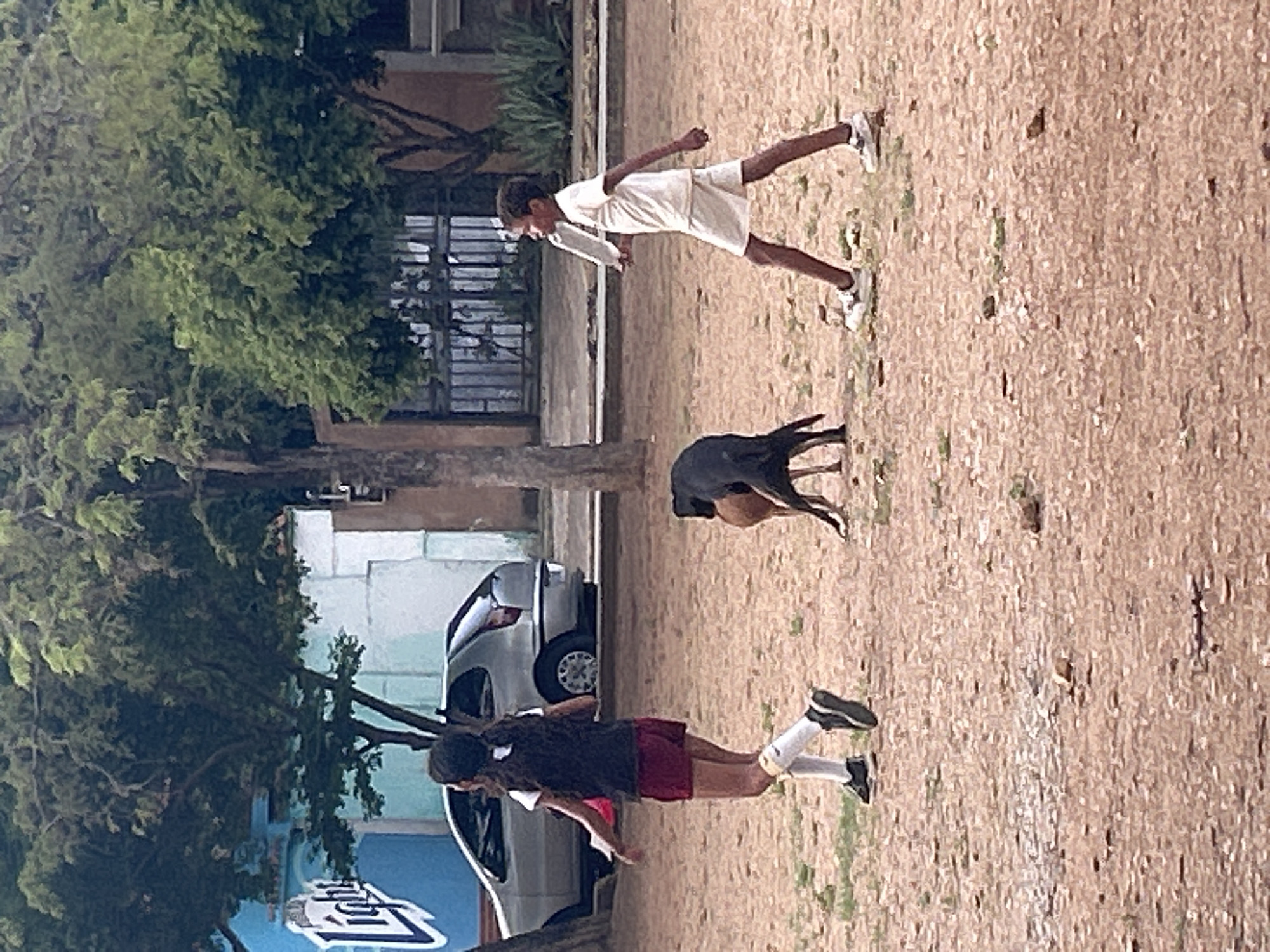 In a public outdoor space, likely a park or plaza in Santa Ana, Venezuela, a young person with dark hair pulled back walks to the left, wearing a dark vest over a white shirt and maroon shorts. White socks with black trim are pulled up to their knees, and they are wearing black athletic shoes. To their right, another young person walks to the right, wearing a plain white t-shirt and white shorts, with white athletic shoes. This person is holding a flat, light-colored object, possibly a book or clipboard, in their right hand. Between the two individuals, a dark-colored dog with a brown-coated chest is sniffing the ground, appearing to be playing or foraging. The ground is covered in dry dirt and scattered debris. In the background, a silver sedan is parked, and a building with a blue mural featuring a white logo is visible. Trees with green foliage are present throughout the scene, with a metal gate and more buildings in the distance, suggesting an urban or semi-urban environment.