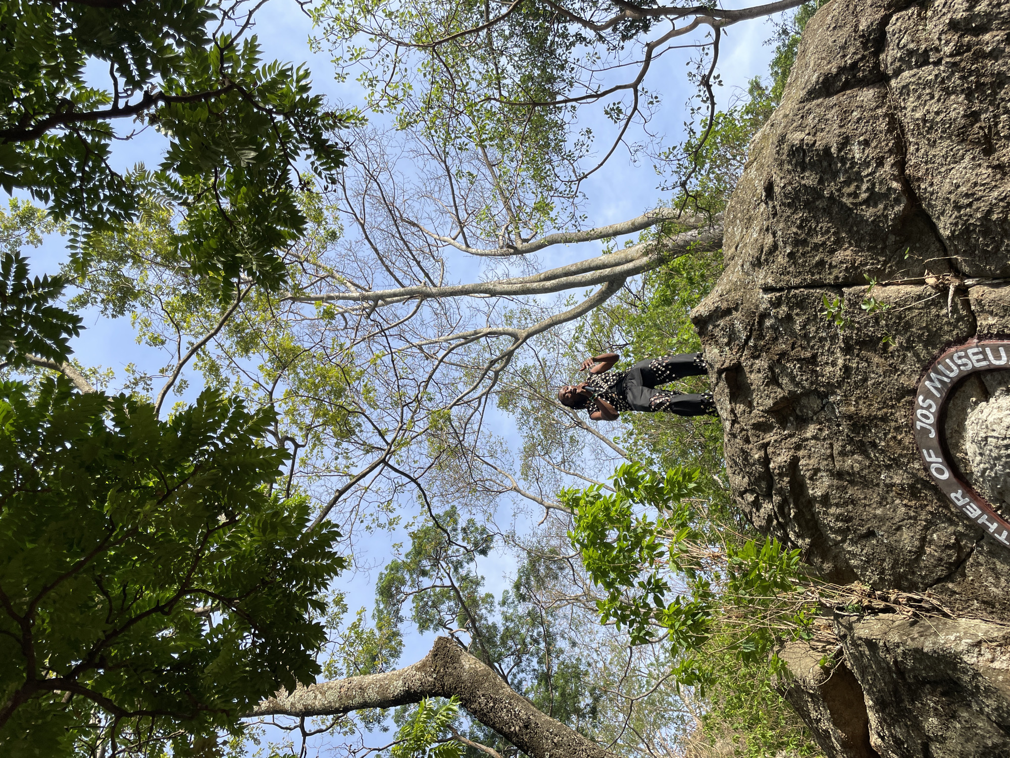 This low-angle outdoor photograph is captured looking upwards at a scene featuring a person, a prominent rock formation, and a dense tree canopy under a bright sky. The image is rotated 90 degrees counter-clockwise.
On the right side of the frame, a single individual stands on a large, dark grey rock formation. The person wears a dark top adorned with white patterns, possibly polka dots or small studs, and dark trousers. They have short dark hair and are looking towards the camera with a neutral expression, their arms bent at the elbows with hands slightly raised.
The substantial rock formation, characterized by its rugged, textured surface and crevices, fills the right portion of the image. Partially visible on the lower right of the rock is a curved brown sign with white lettering. The decipherable text on the sign reads "...THER OF JOS MUSEUM," strongly indicating a directional or informational sign for the "Mother of Jos Museum."
The upper and left parts of the frame are dominated by an overhead canopy of trees. Rich green leaves are visible on the left, while numerous bare branches and branches with sparse foliage extend across the sky in the center and top. The sky is a clear, light blue, suggesting a sunny daytime, likely morning or afternoon. The setting appears to be a natural, scenic location, such as a park or a mountainous area, consistent with the provided location context of Jos, Nigeria.