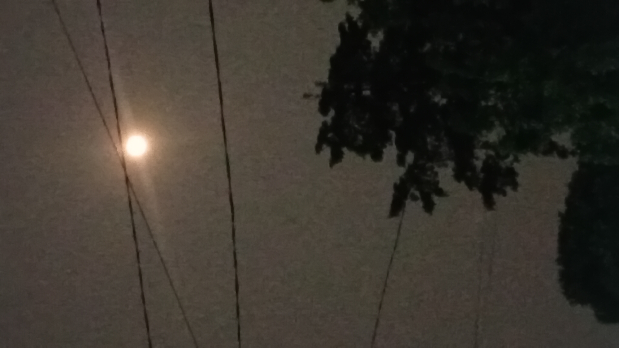 The image shows a nighttime scene, likely outdoors, with a bright, luminous object in the upper center, possibly the moon. This object is partially obscured by at least two dark, horizontal lines, which appear to be power lines. Silhouetted against the sky are the dark shapes of trees, one in the mid-right and another in the lower center. The overall atmosphere is hazy, with visible graininess throughout the image. The scene's composition suggests it was taken from a ground-level perspective. No people are visible in the image.