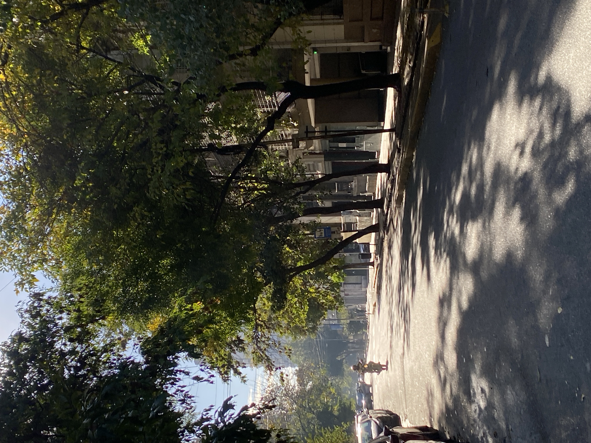 A street view in Buenos Aires, Argentina, is partially shaded by trees. The street is lined with parked cars and buildings on the left. A person is walking on the right side of the street. The scene is sunlit, with dappled shadows on the pavement.