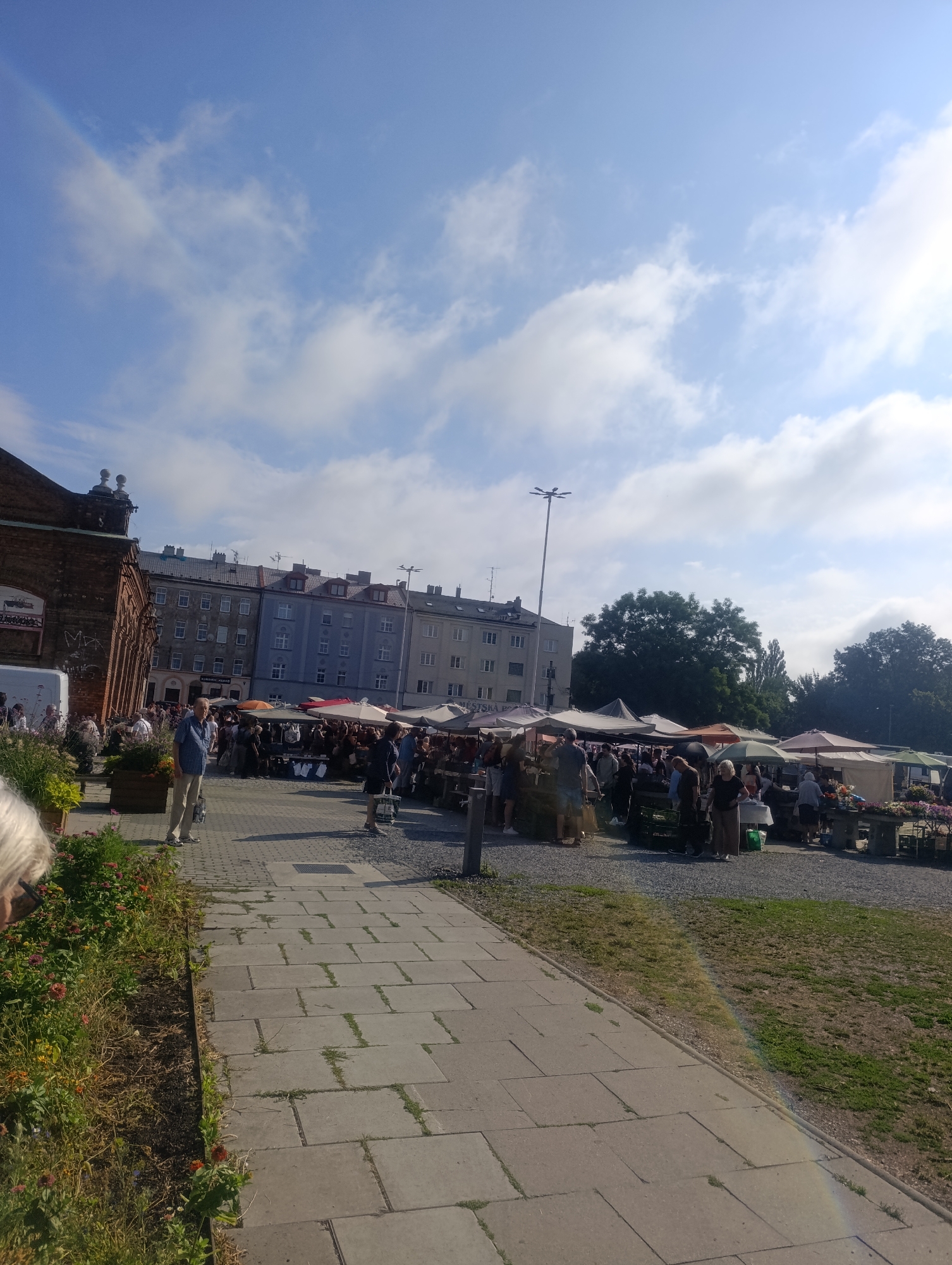 The image depicts a bustling outdoor market scene in Olomouc, Czechia, with a clear blue sky and scattered clouds overhead. In the foreground, a paved walkway leads towards a vibrant green area with flowers. Beyond this, a lively marketplace unfolds with numerous stalls covered by umbrellas and awnings, displaying various goods. People of different ages are seen browsing, interacting, and engaging in commerce. The background features a row of multi-story buildings, indicative of an urban setting. The overall atmosphere is one of a lively, community-oriented market day.
