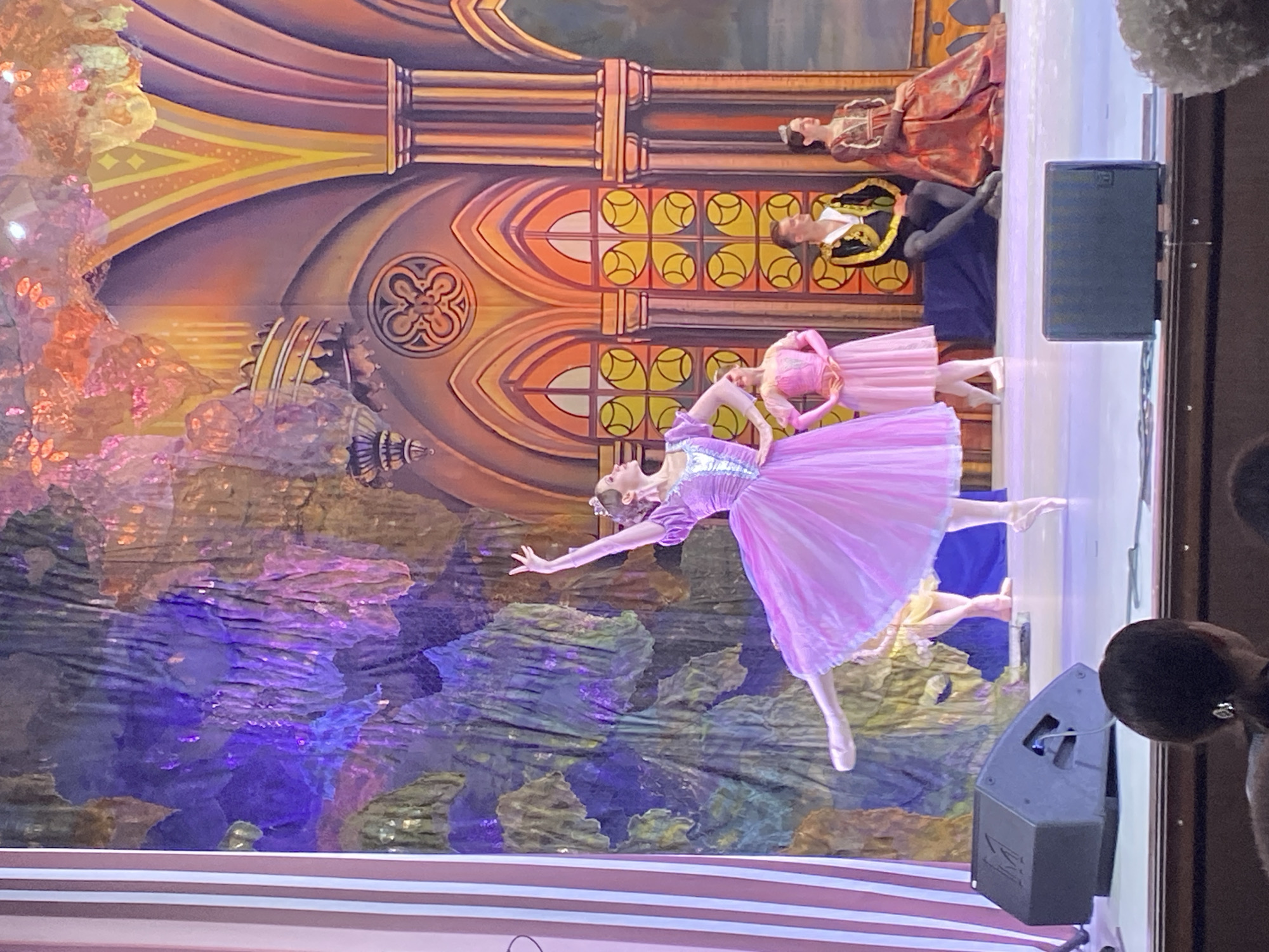 The image shows a performance of the ballet "The Sleeping Beauty" by P. I. Tchaikovsky. The ballet is being performed at the Ulyanovsk Opera and Ballet Theatre, located in Ulyanovsk, Russia. A female dancer in a pink tutu is en pointe, with other dancers in costume behind her. The backdrop is a painted scene depicting a castle. Stage lighting and speakers are visible.
