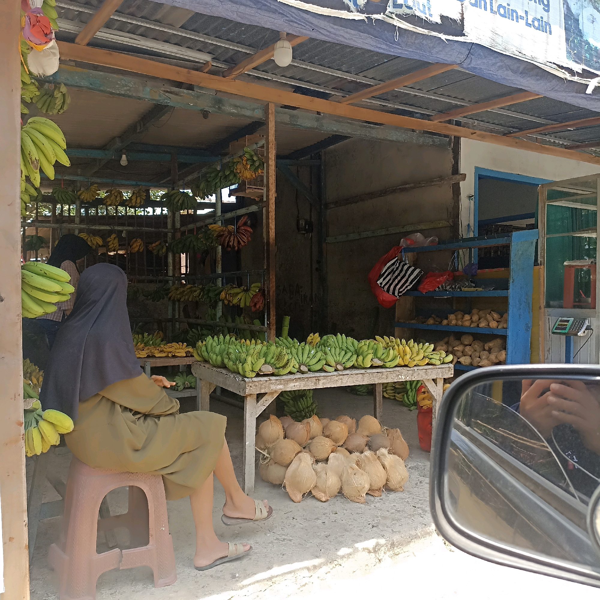 The image depicts an outdoor fruit stand in Sedeng, Indonesia. In the foreground, a person wearing a dark hijab and an olive-green dress sits on a plastic stool, facing away from the camera. Their legs are visible, wearing sandals. To the left of the person, a bunch of green bananas is hanging. In front of the stool and to the right, a large pile of coconuts is arranged on the ground. Behind the coconuts, a wooden table displays numerous bunches of green and yellow bananas.
The fruit stand itself is constructed with a corrugated metal roof supported by wooden beams. Various bunches of bananas are displayed hanging from the structure. Further back, a blue shelving unit is visible, stocked with what appear to be root vegetables or potatoes. A red bag with a black and white striped pattern is hanging from the top shelf. A small electronic calculator is placed on a shelf to the right of the fruit stand. In the background, a white wall and a window with a green tint are visible. The ground is paved with concrete. The scene suggests a commercial setting for selling fresh produce.