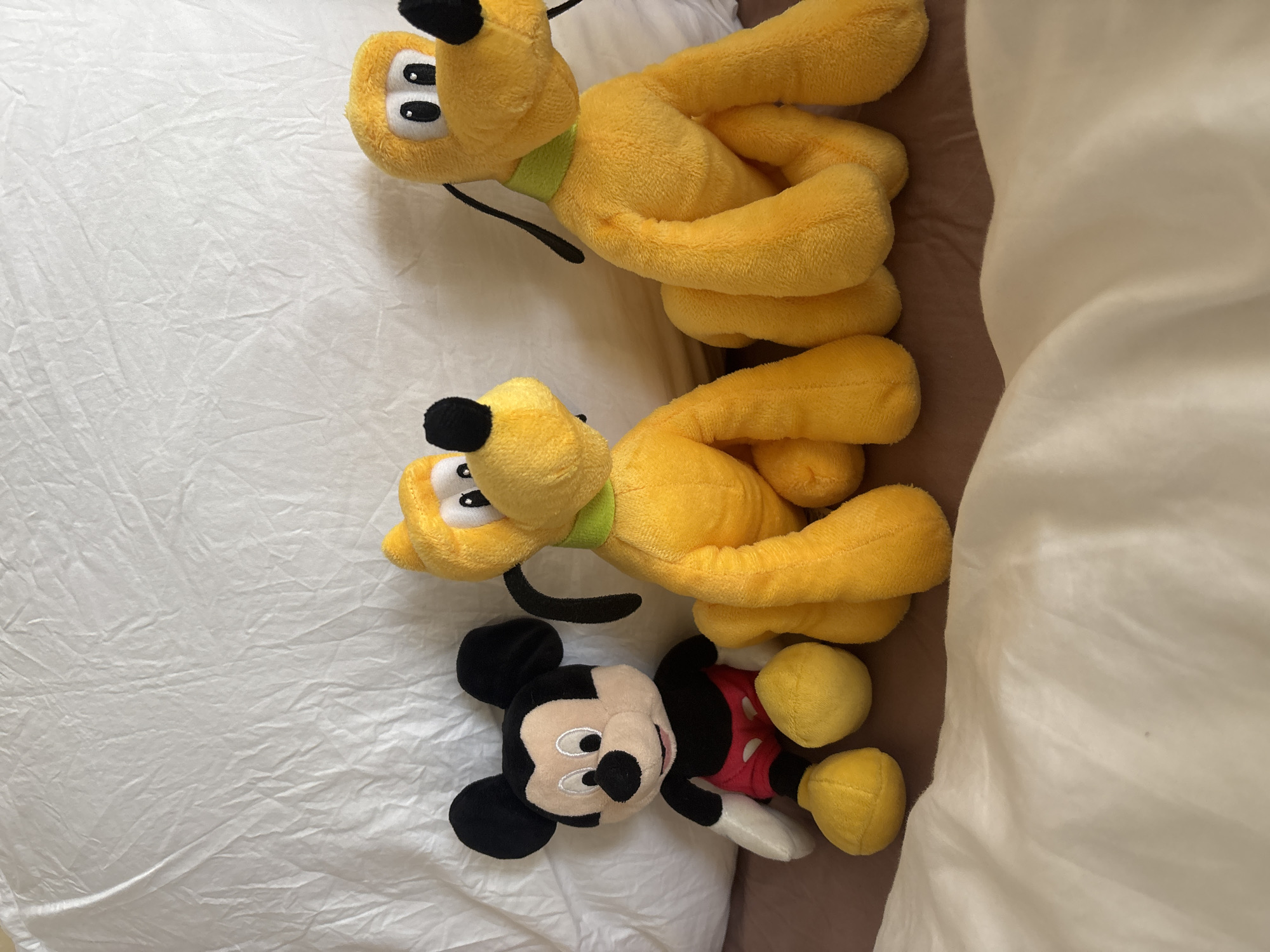 Three stuffed toys, Mickey Mouse and two versions of Pluto, are arranged on a bed with a white duvet and a brown surface beneath. Mickey Mouse, on the left, wears his signature red shorts and yellow shoes. The two Pluto figures, both yellow with green collars, are positioned to the right of Mickey. The background is a white, slightly rumpled fabric. The scene is indoors, in what appears to be a bedroom. There is no indication of the specific location within Dubai, United Arab Emirates.
