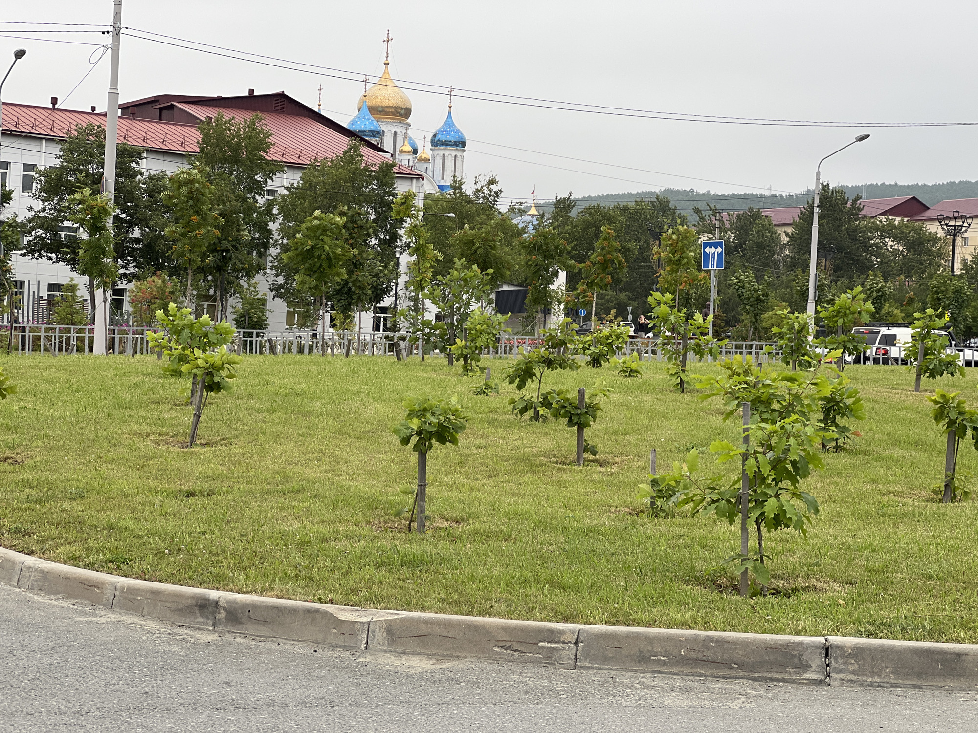 The image captures a daytime scene in Yuzhno-Sakhalinsk, Russia, featuring a street with a prominent landscaped median. The median is covered in lush green grass and dotted with numerous young trees, each supported by a stake. In the background, a modern building with a red roof is visible, along with several blue and gold domed structures, likely churches. A white fence runs along the edge of the landscaped area. Further in the distance, a line of trees and buildings indicates a more developed urban area. A street lamp stands on the right side of the image, and a blue directional sign with white arrows is also present. The sky is overcast, suggesting a cloudy day. Several cars are parked or driving on the street, and a few people are walking in the background.